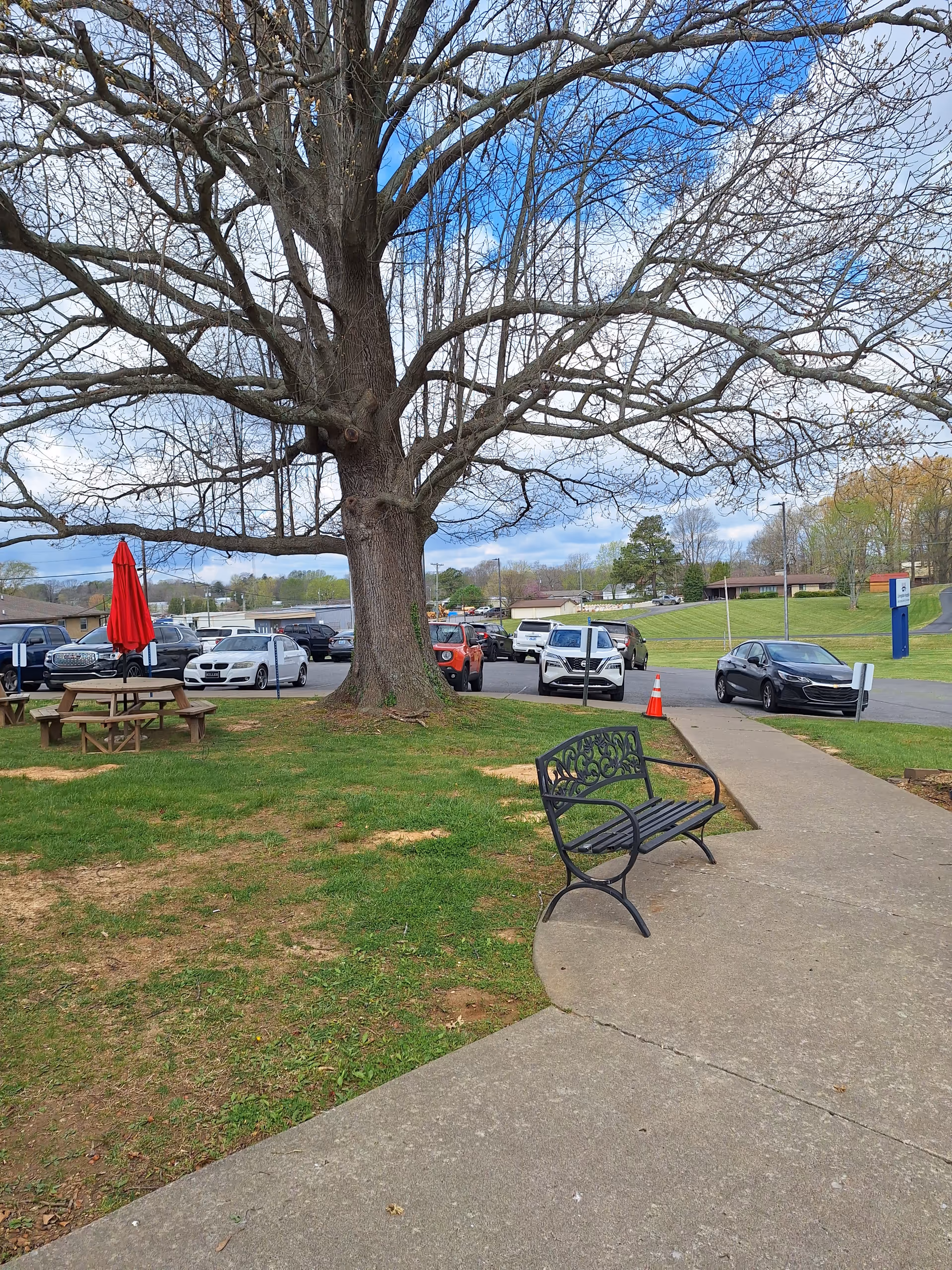 Large tree provides shade over a grassy outdoor area with benches, picnic tables, and parked cars.