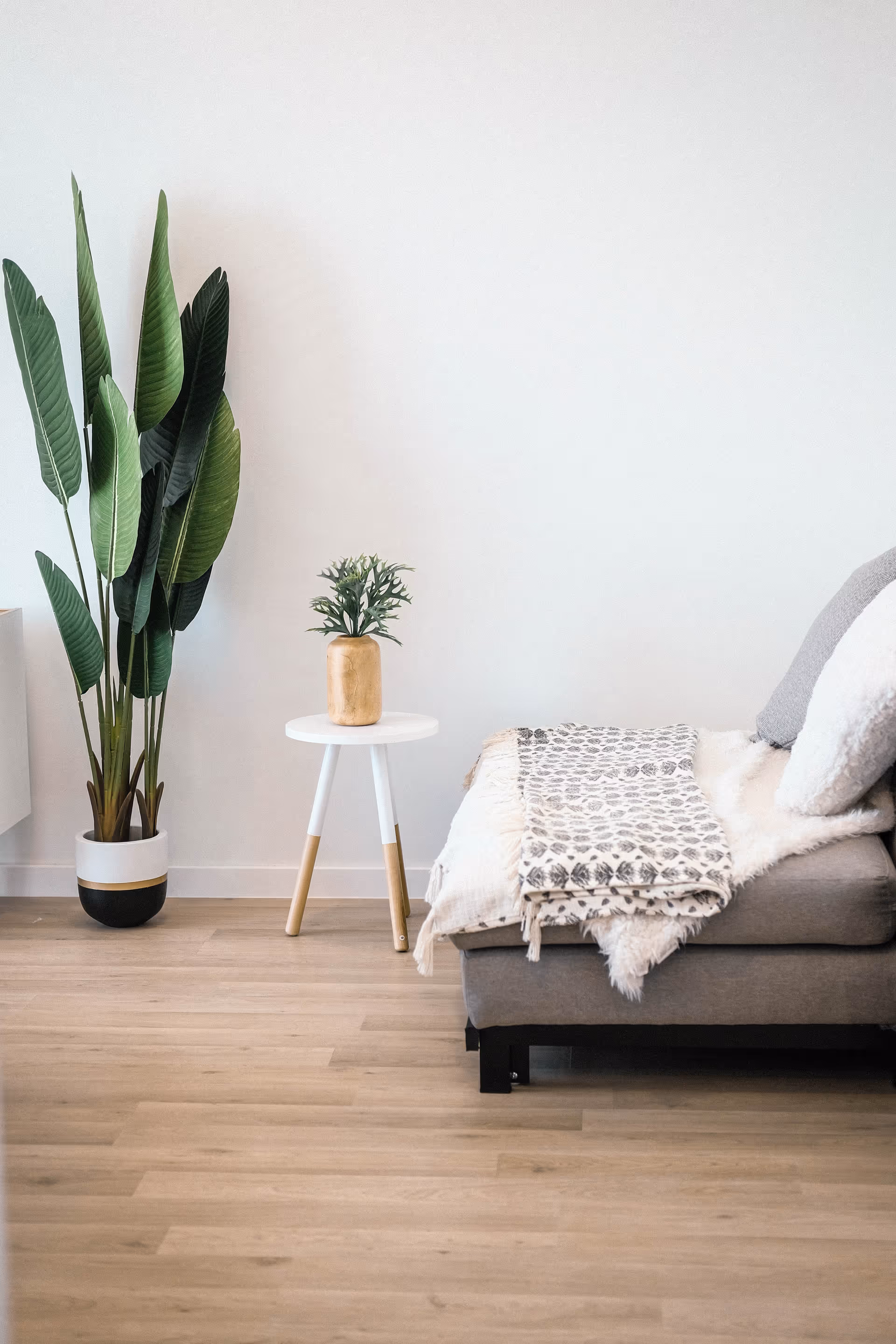 Minimalist living room corner with a sofa bed, tall plant, and small side table.