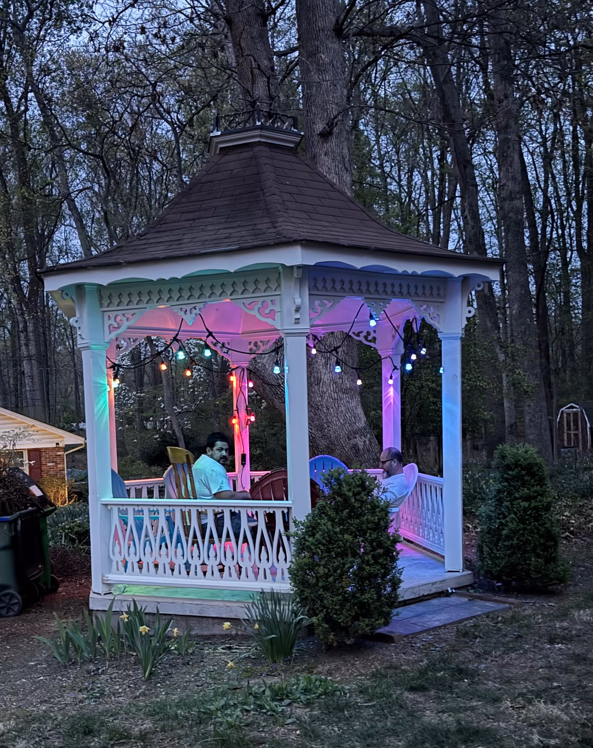 Colorful-lit gazebo outdoors with two people seated among trees in a backyard.