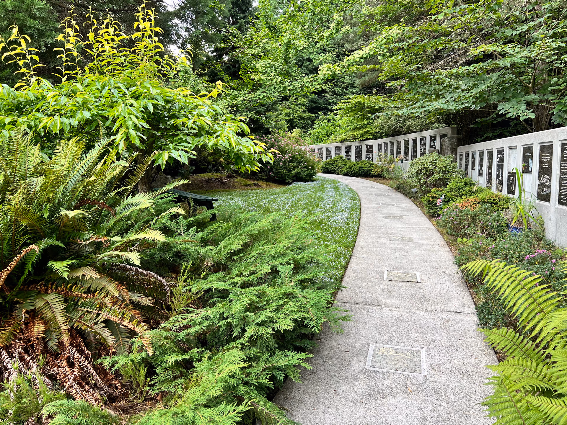 Curved concrete garden path winds through lush greenery with a wall of plaques on the right.