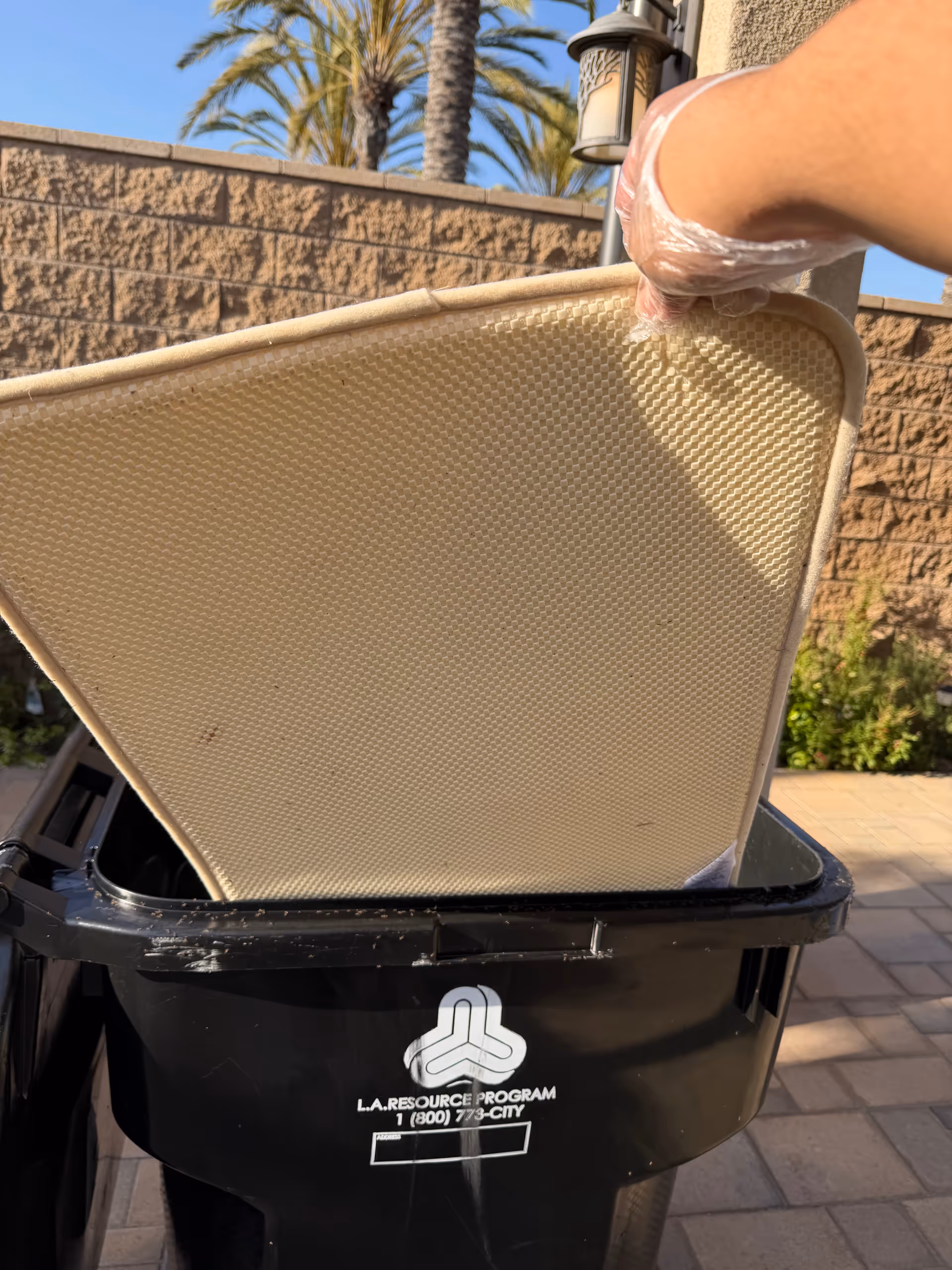 Gloved hand lifts a beige cushion from a black trash bin outdoors.
