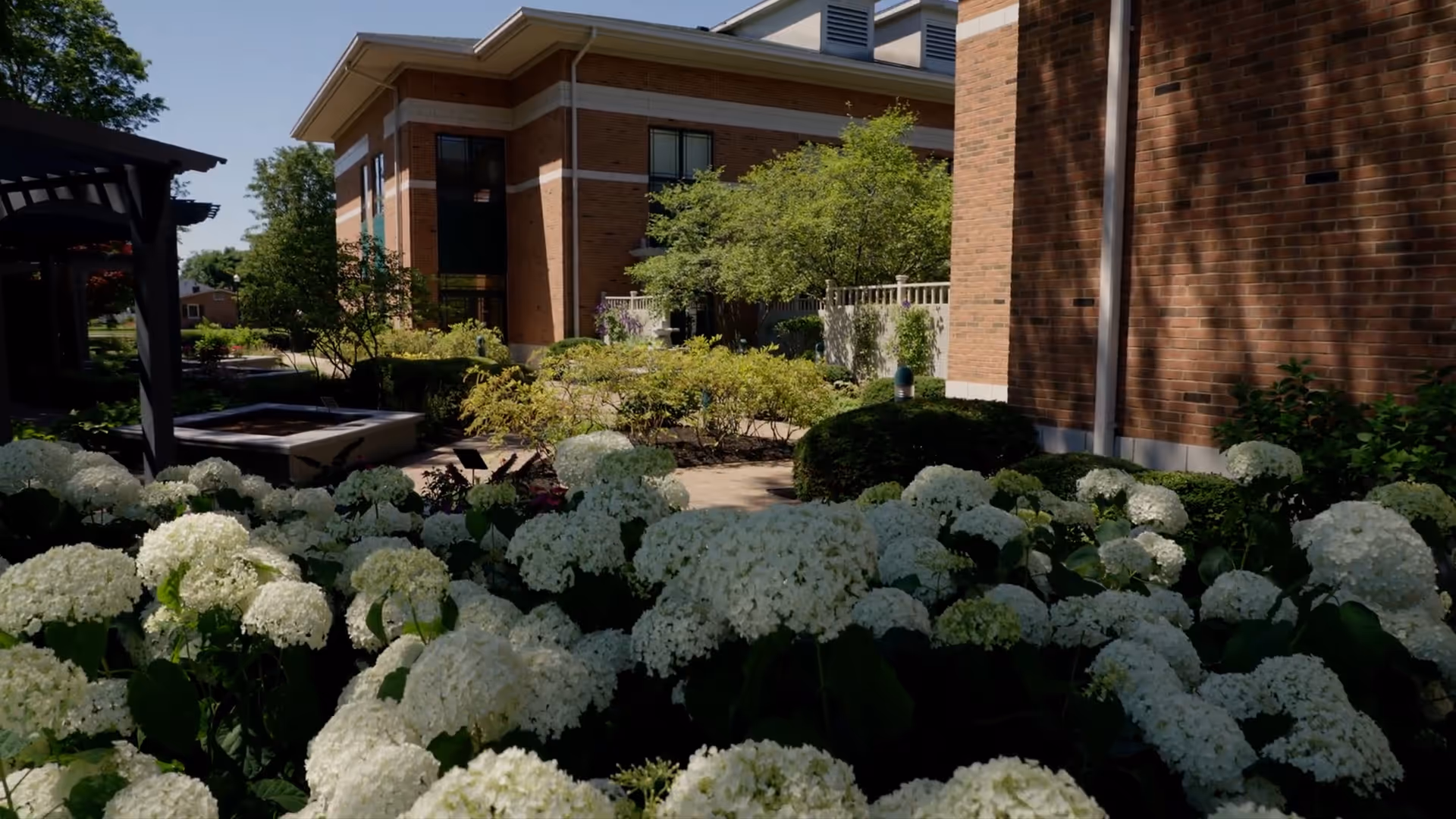 Brick senior living building with lush white hydrangeas and a shaded walkway outdoors