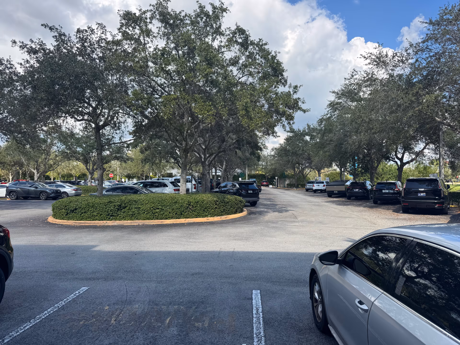 Large parking lot lined with trees, cars parked around a circular landscaped island.