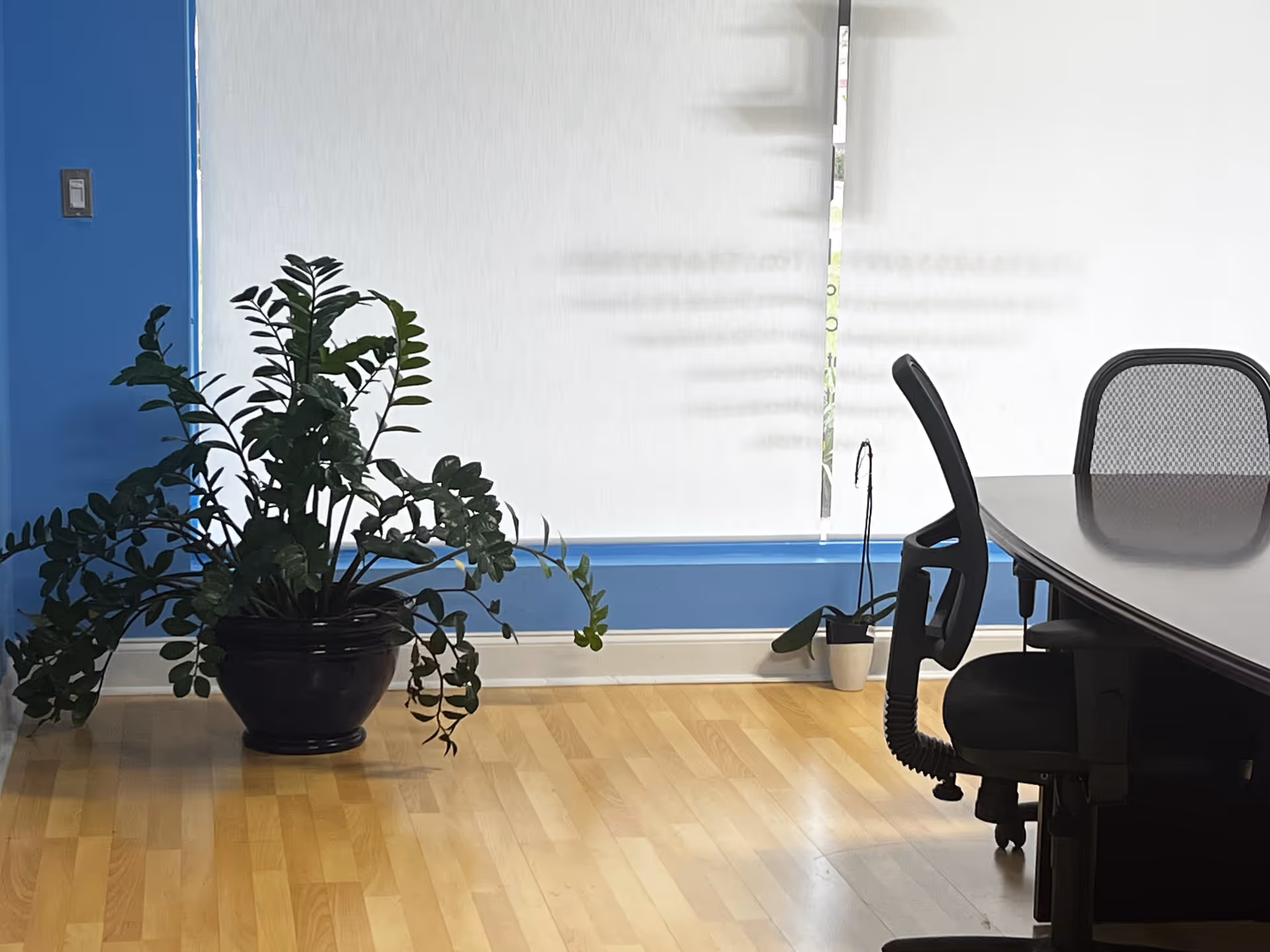 Office-style conference room with a large potted plant, blinds, and a rounded table.