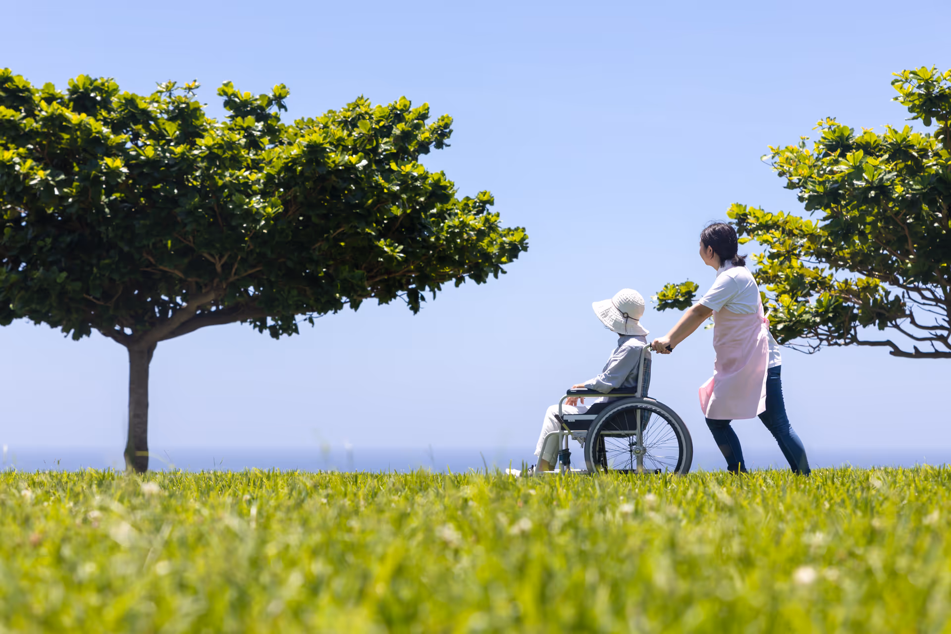 Caregiver pushes an elderly person in a wheelchair across a sunny grassy outdoor area.