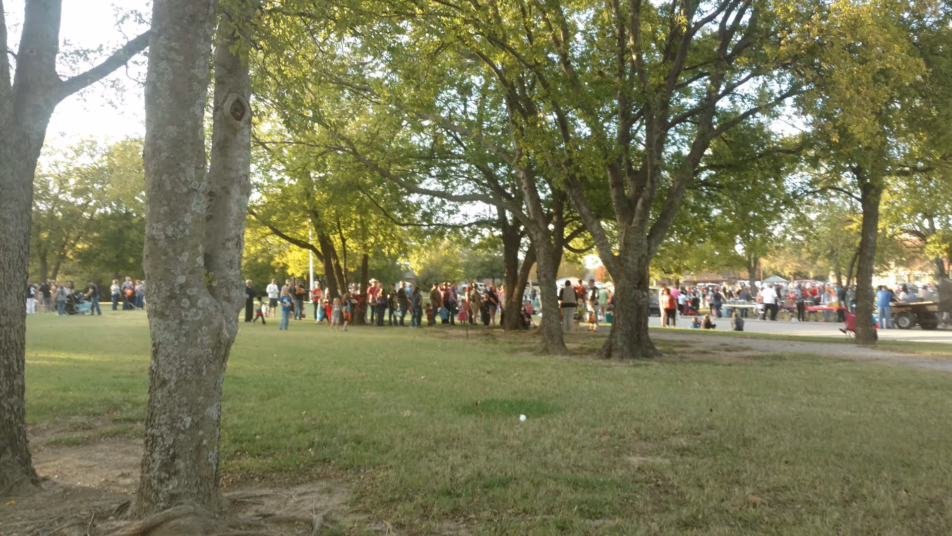 Groups of people gather under trees in a sunny outdoor park.
