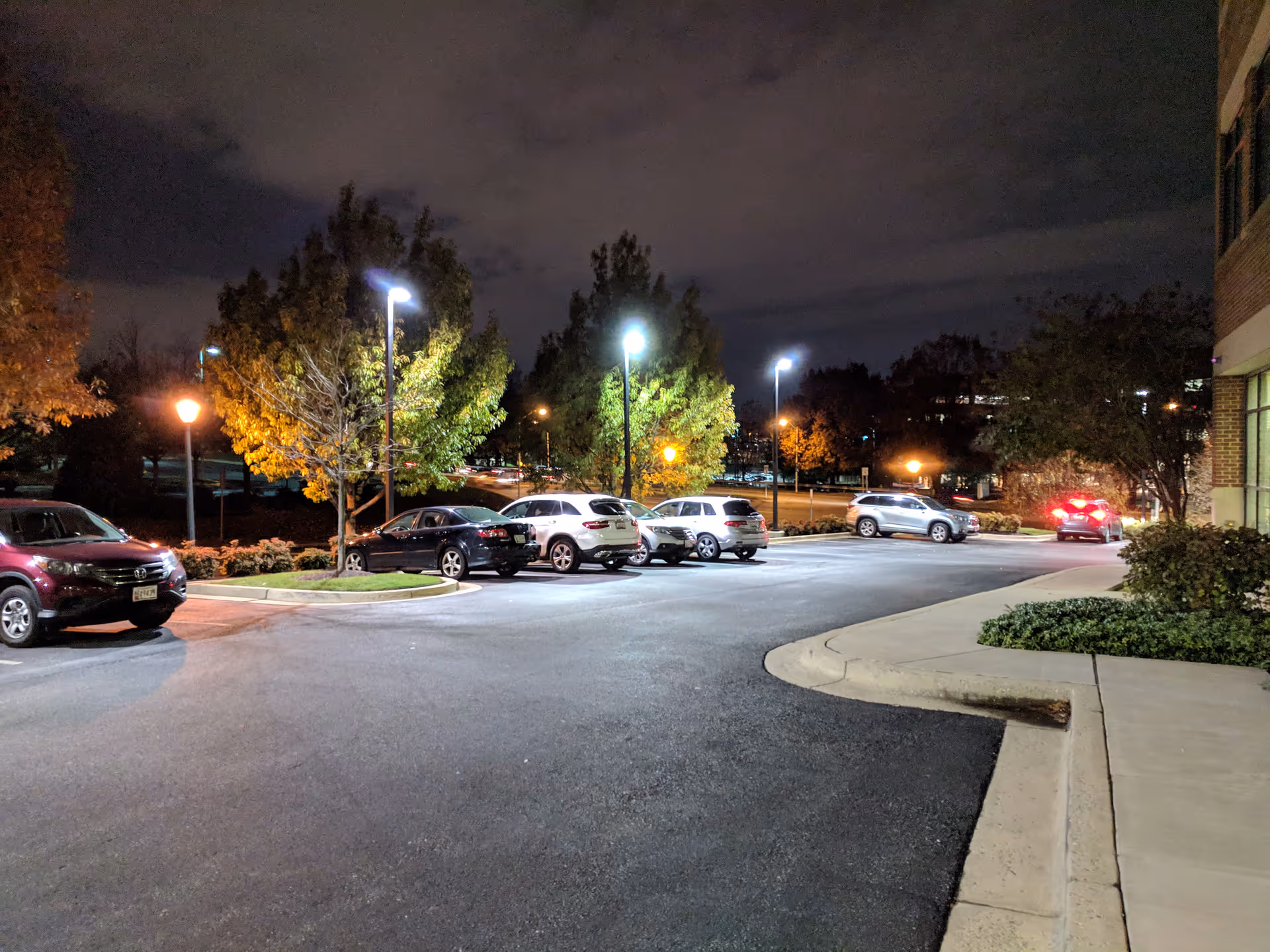 Nighttime exterior view of a parking lot with illuminated streetlights and trees.