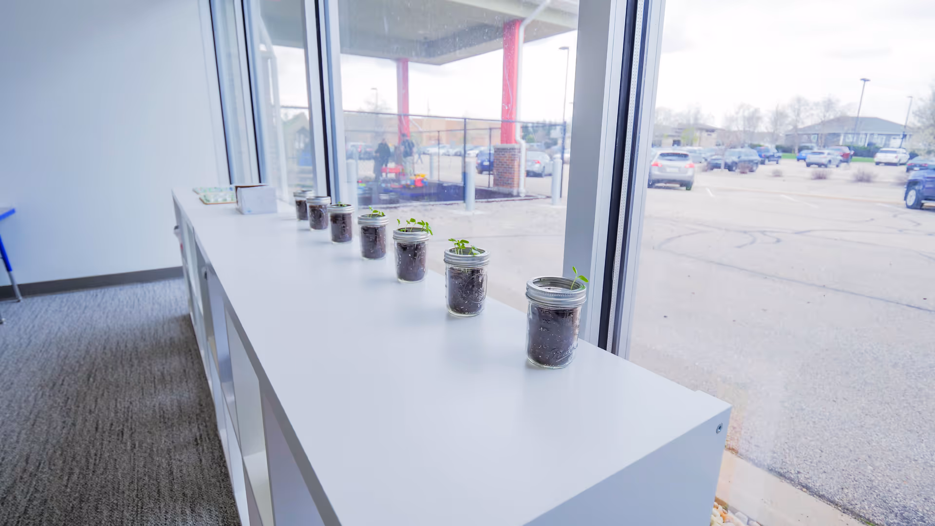 Jars containing small plants line a white counter by a large window.