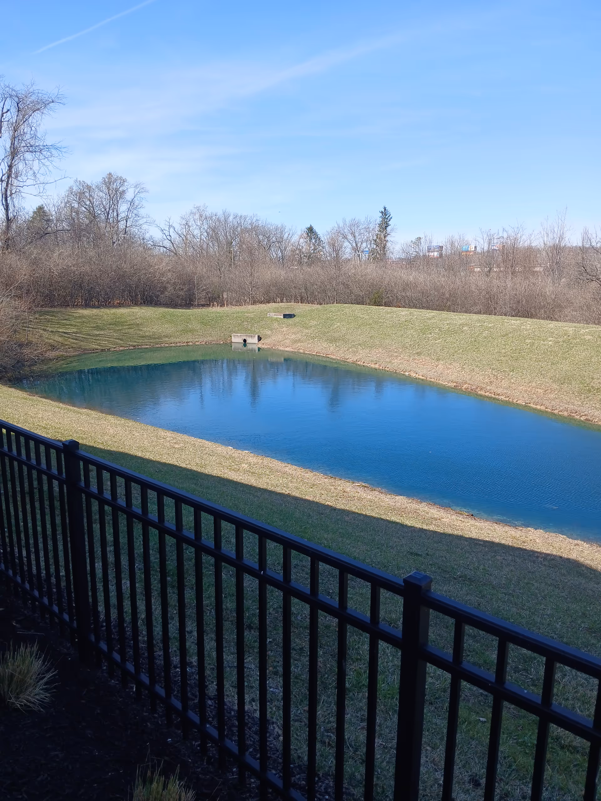 A small pond with grassy banks, bare trees, and a black railing in the foreground.
