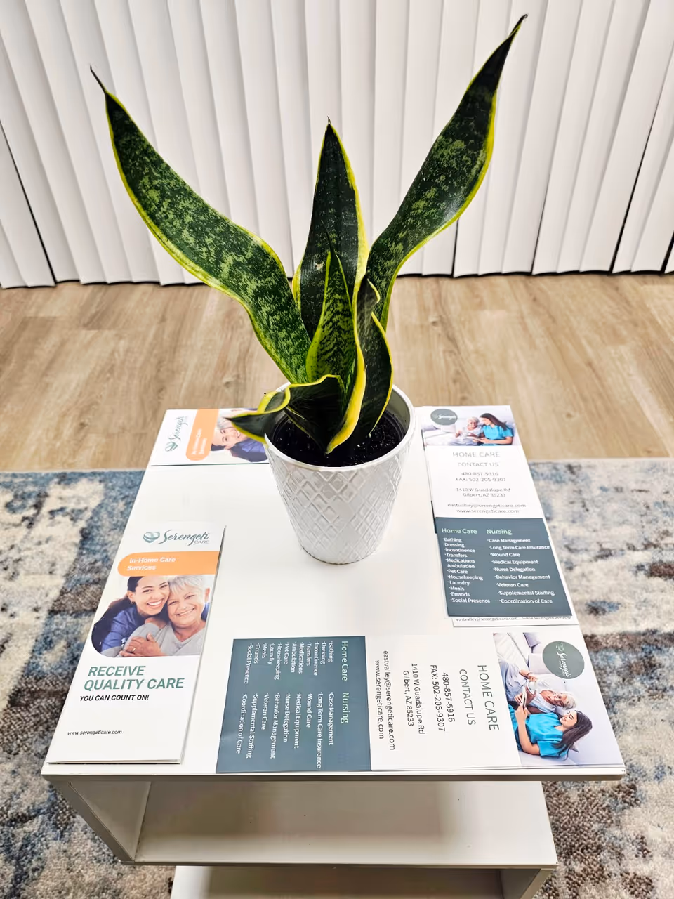 Potted snake plant on a white table with Serengeti Care brochures in a lobby.