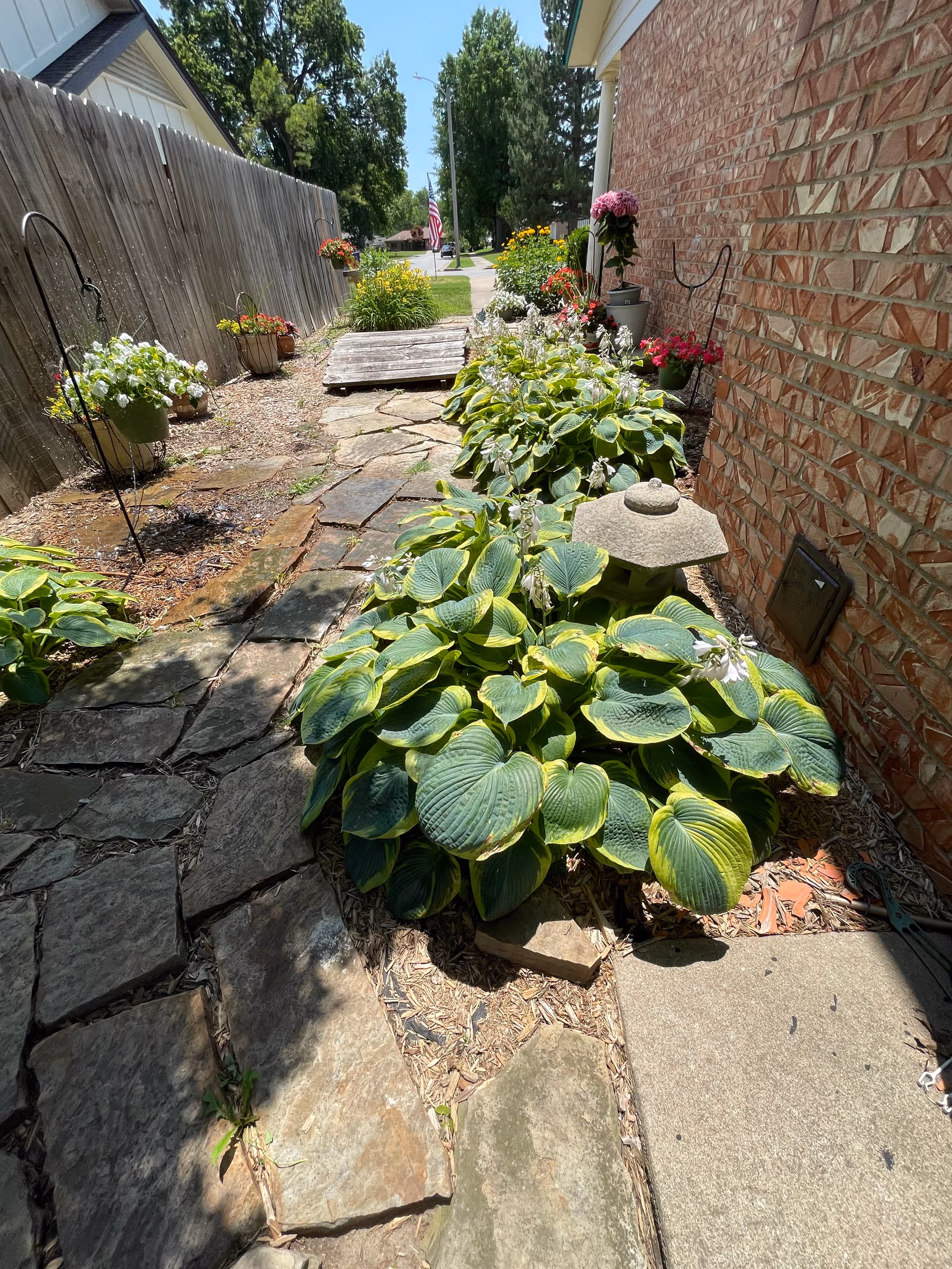 Sunlit narrow outdoor garden path beside a brick house with potted plants.