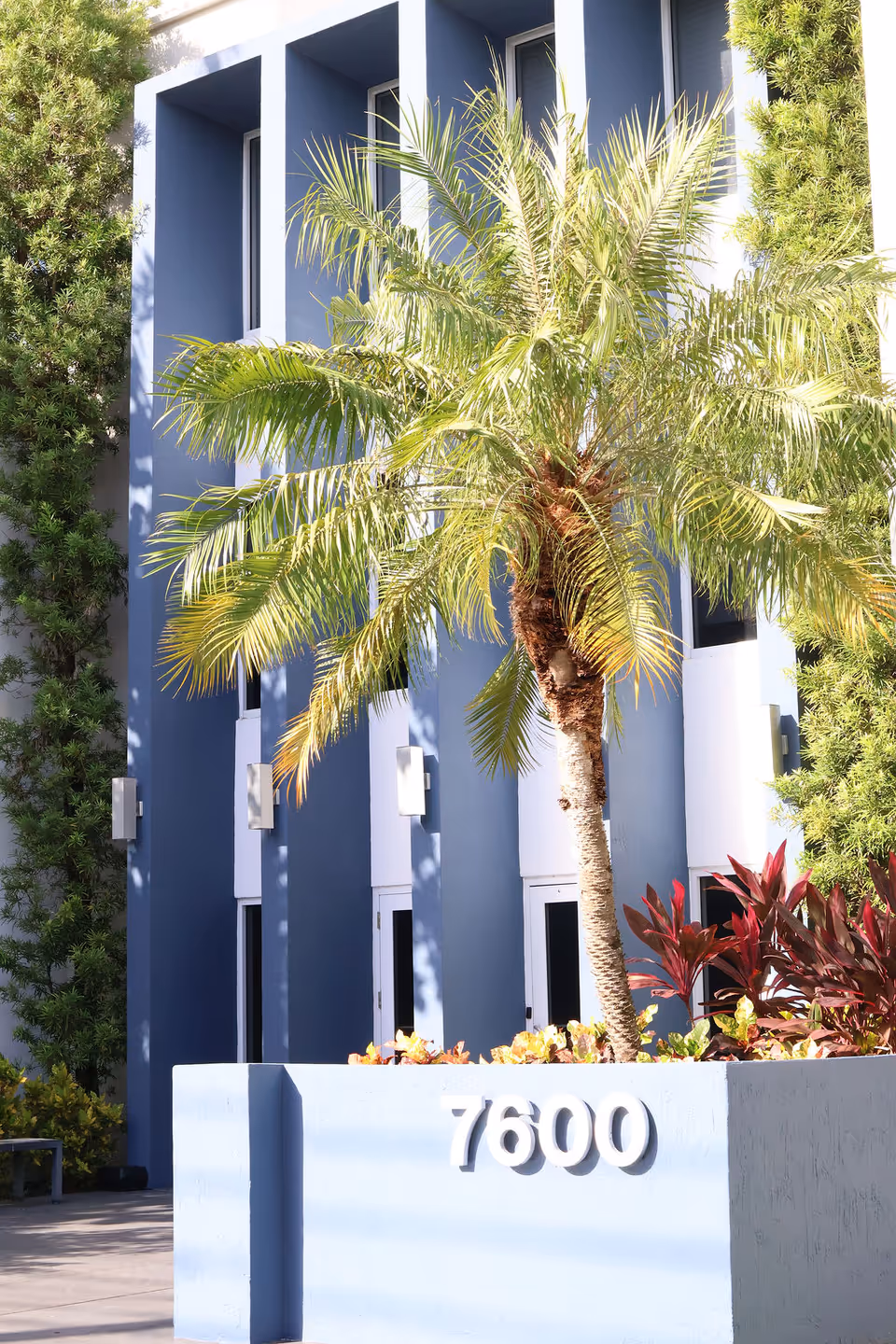 Blue modern building exterior with palm tree and landscaped front, displaying the address 7600.