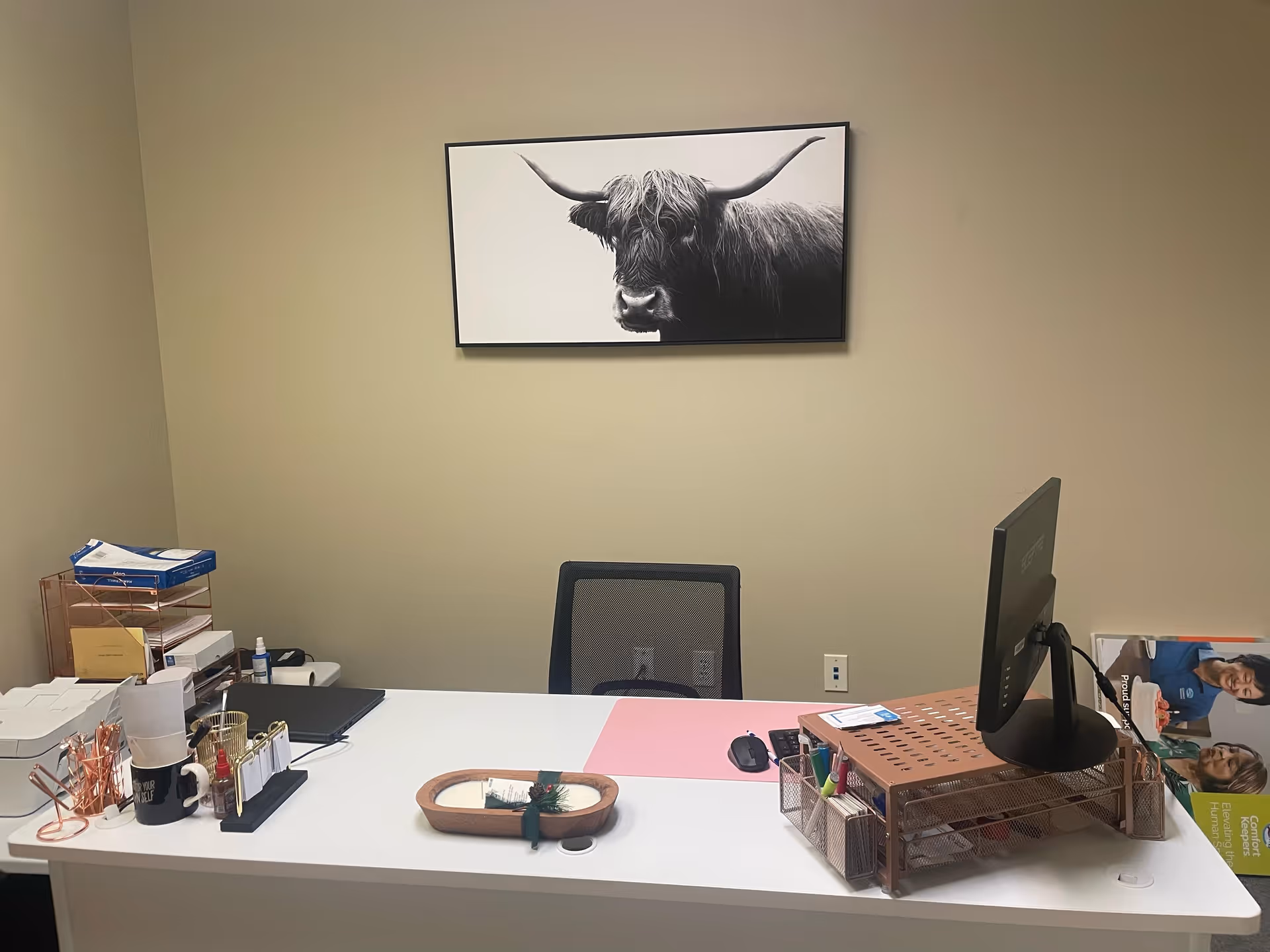 Reception desk with computer monitor, office supplies, and a framed animal photo.