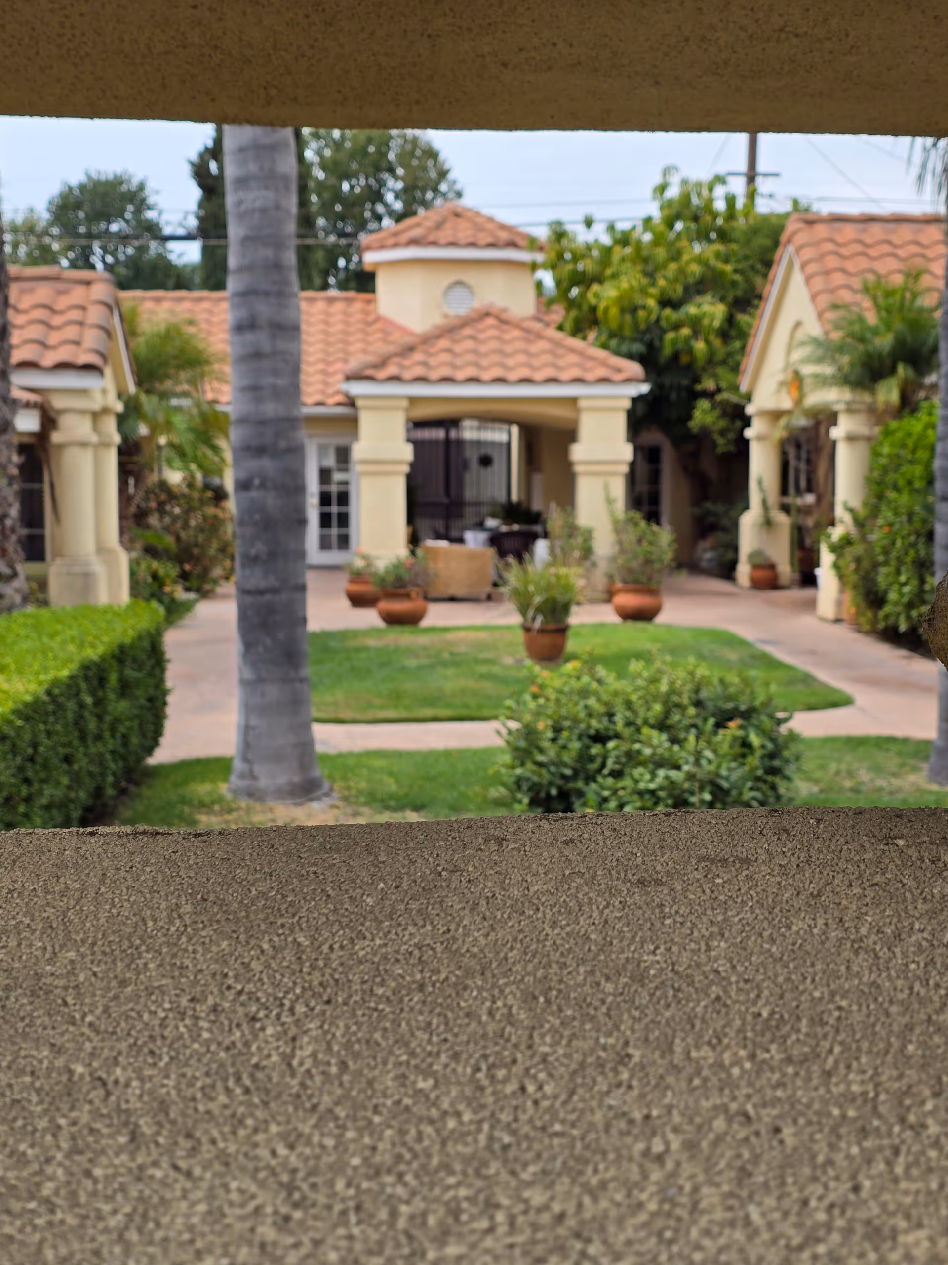 Outdoor courtyard of a senior facility featuring a covered walkway, palm trees, and potted plants.