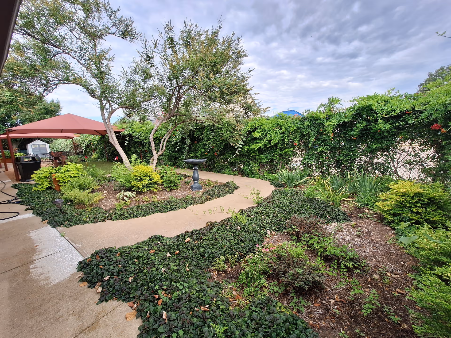 Curved garden pathway with lush greenery and a red patio umbrella.