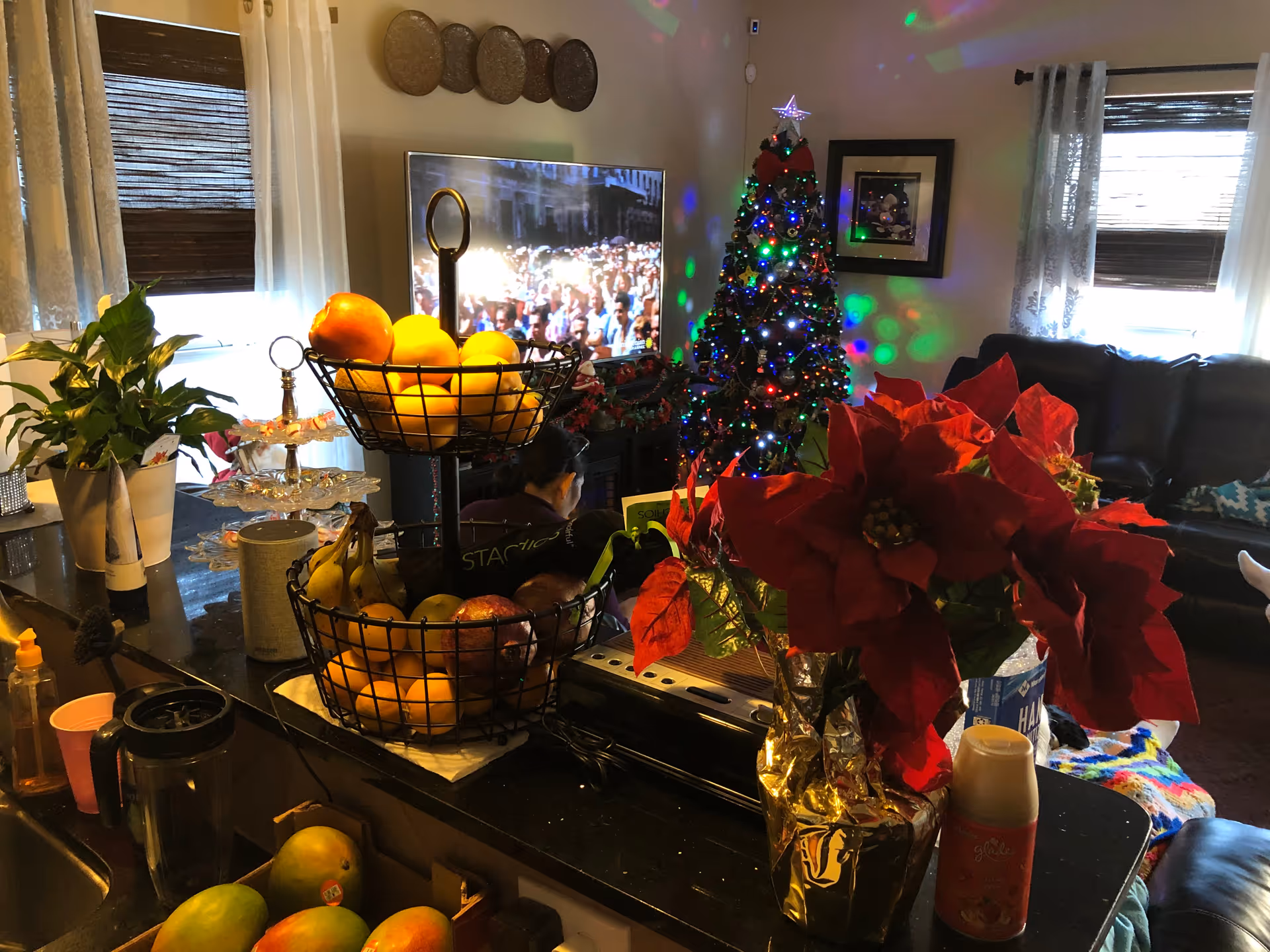 Cozy living room scene with Christmas tree, poinsettias, fruit baskets, and a TV.