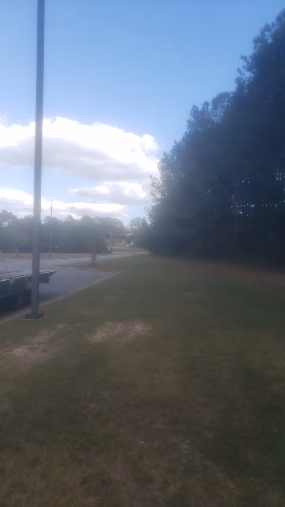 Outdoor scene with a lamp post, grassy area, trees, and a road along a walkway.