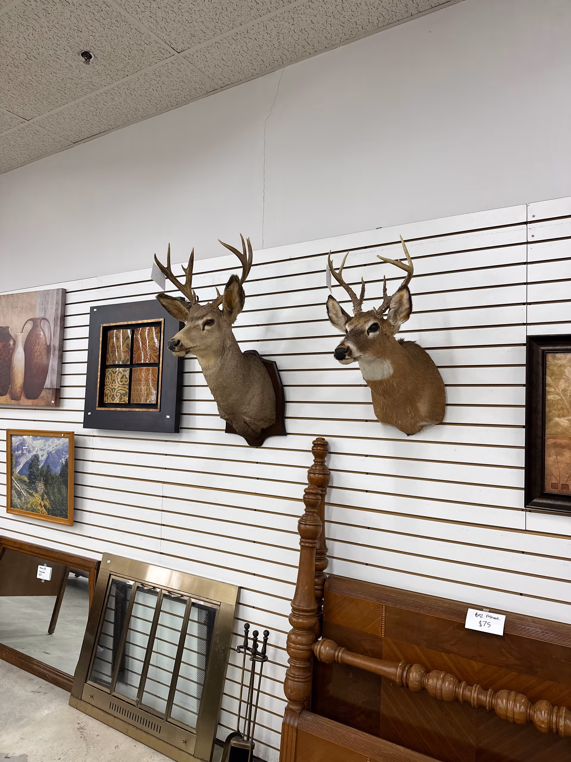 Interior showroom with mounted deer heads, framed art, and a wooden bed frame.