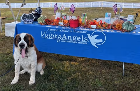 A dog sits beside an outdoor table with a Visiting Angels banner and fall decor.