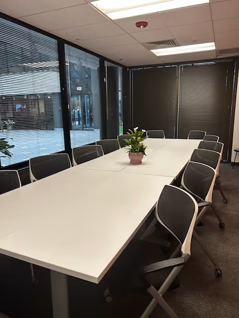 Long conference table with chairs around and a potted plant in a glass-walled meeting room.