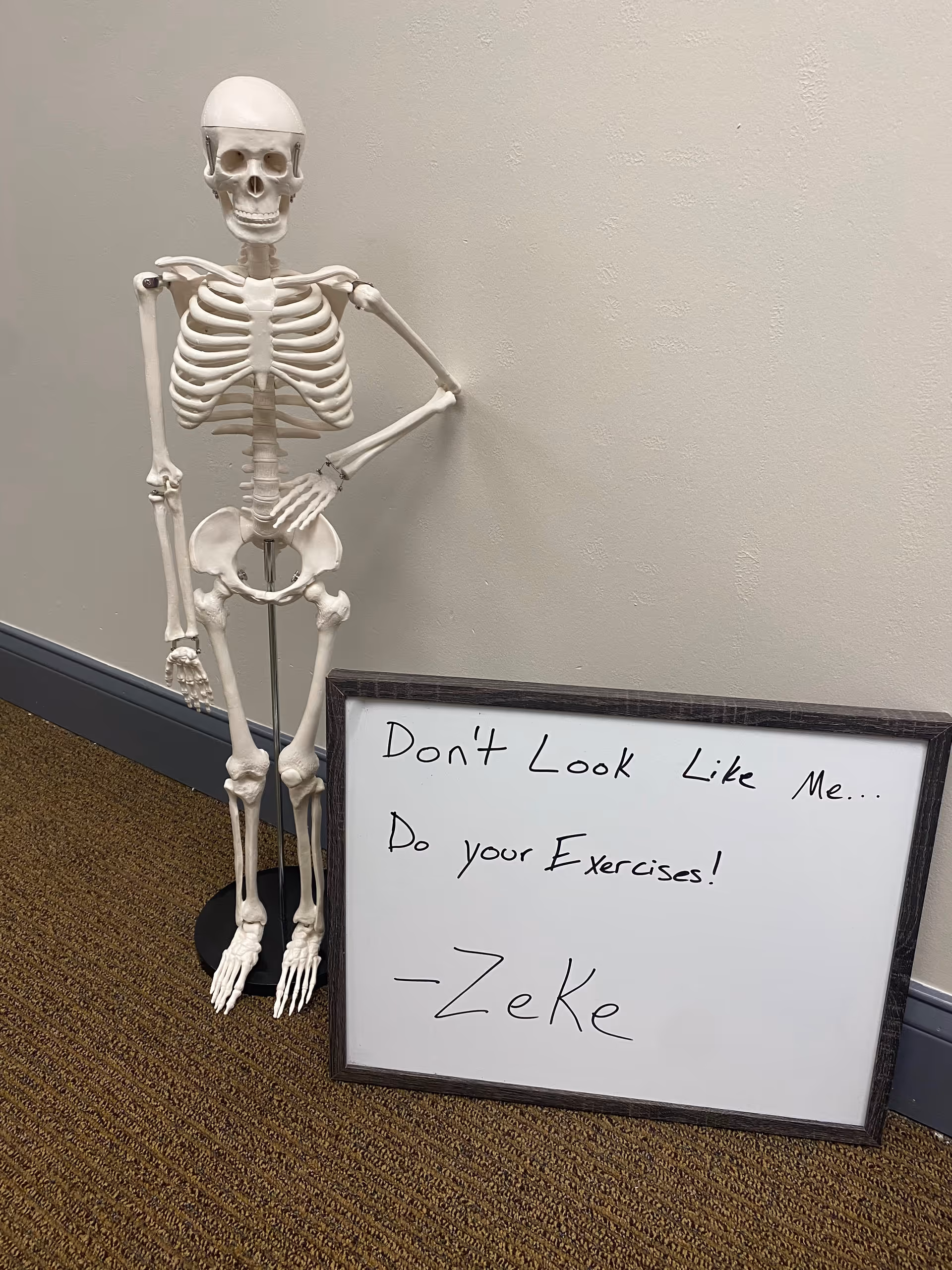 Life-size skeleton model stands beside a framed sign in a hallway.