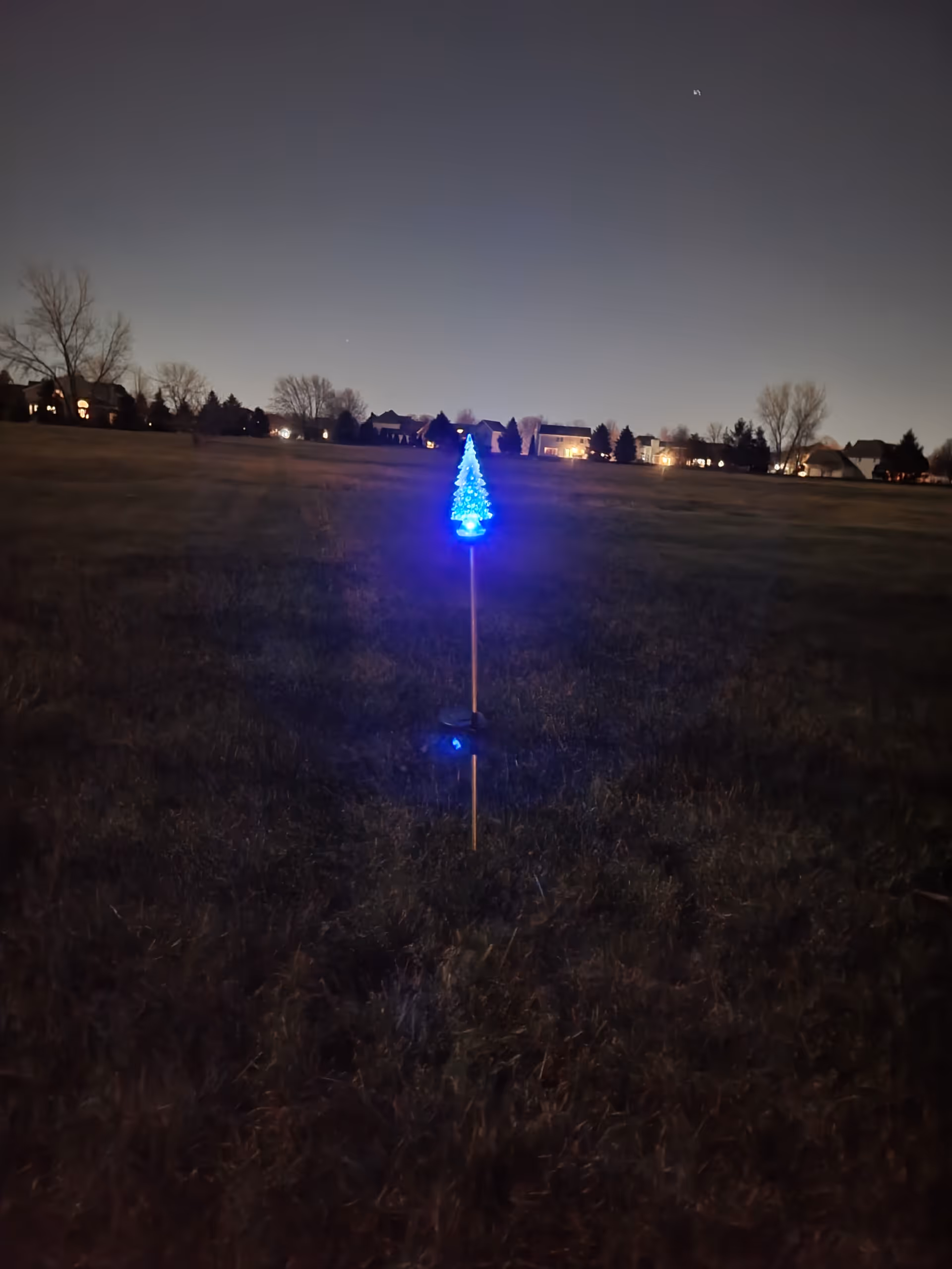 Nighttime outdoor scene with a blue-lit decorative tree on a pole in the foreground.
