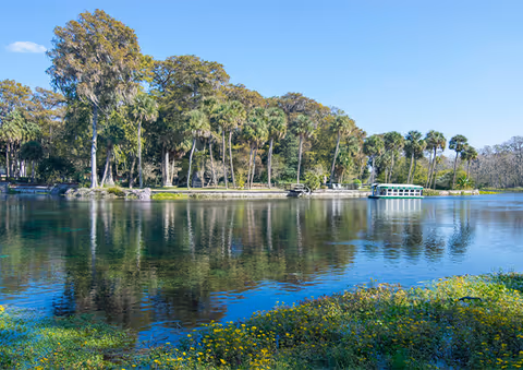 Scenic river with trees along the bank and a boat in the distance.