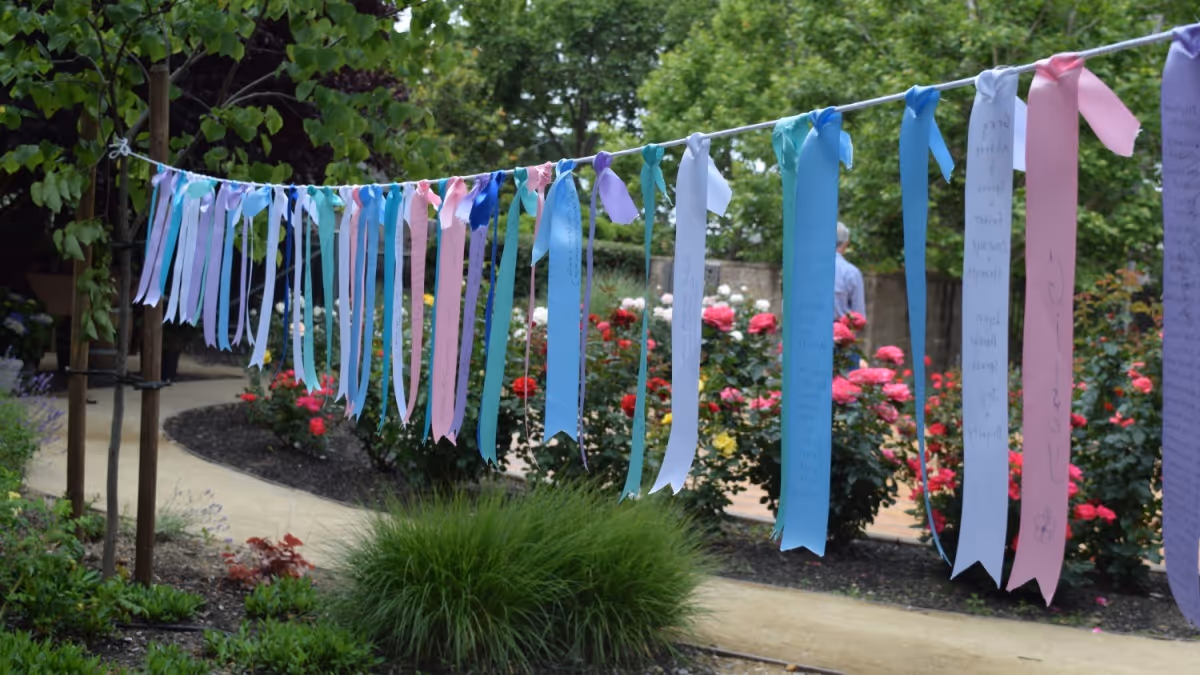 Colorful ribbons hang on a line over a garden path with blooming roses.