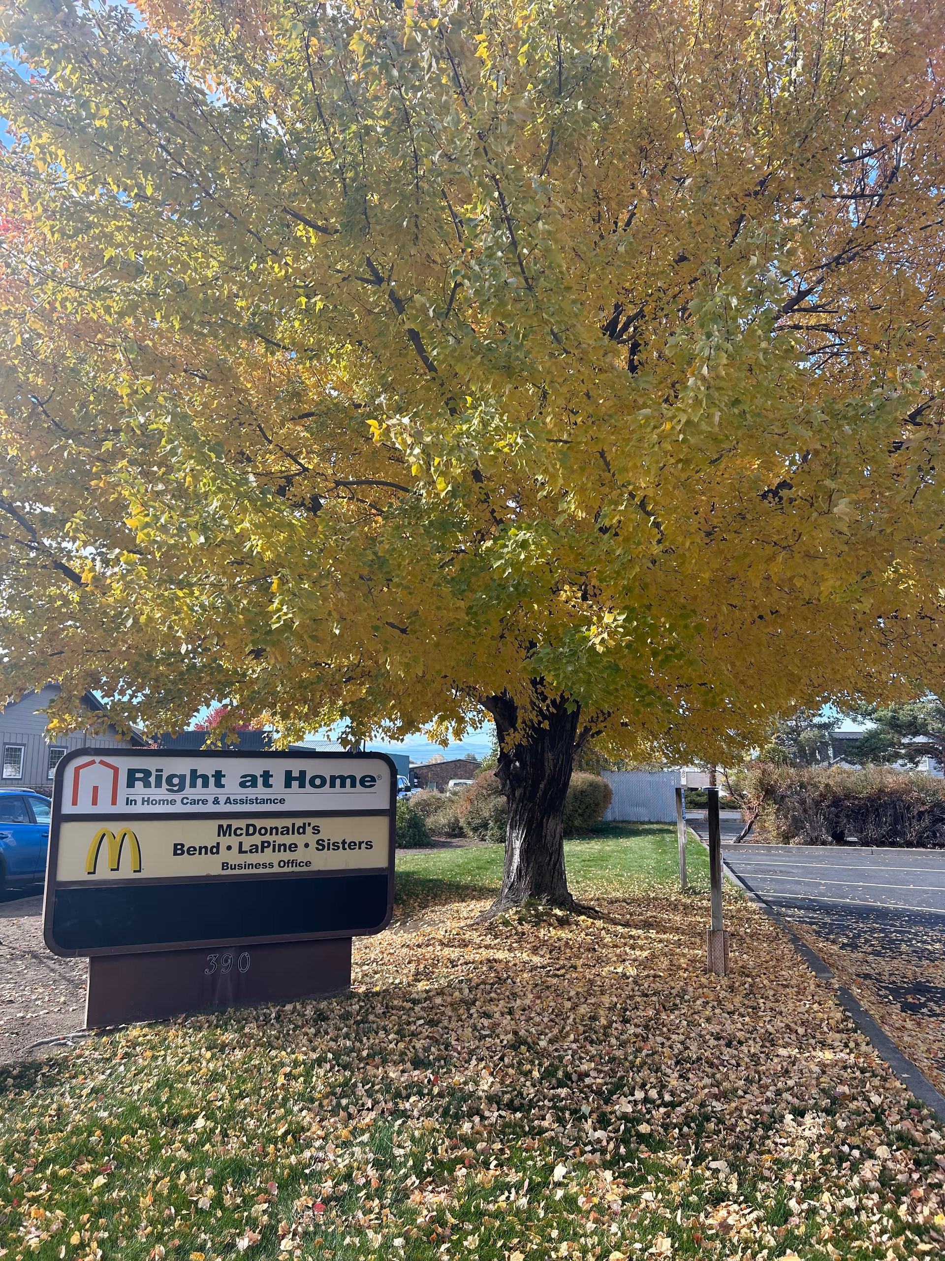 Right at Home sign in a parking lot beside a large autumn tree