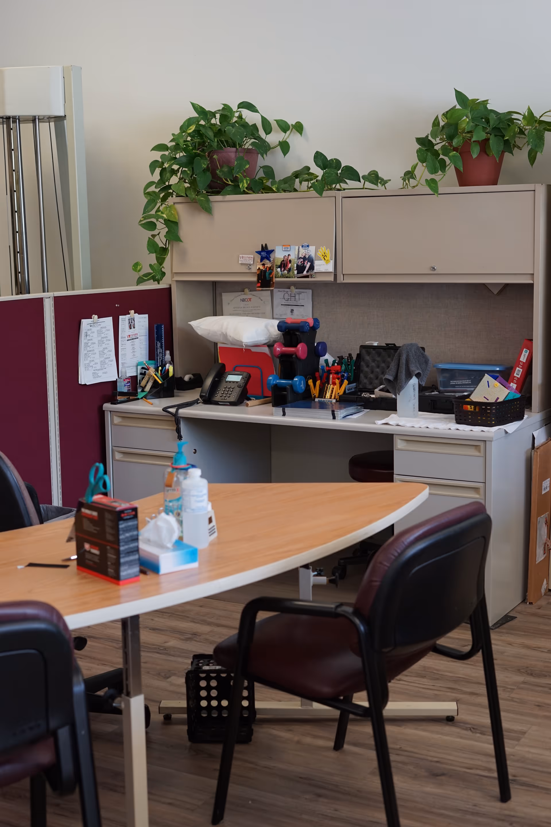 Interior office workspace with curved table, chairs, phone, supplies, and potted plants.