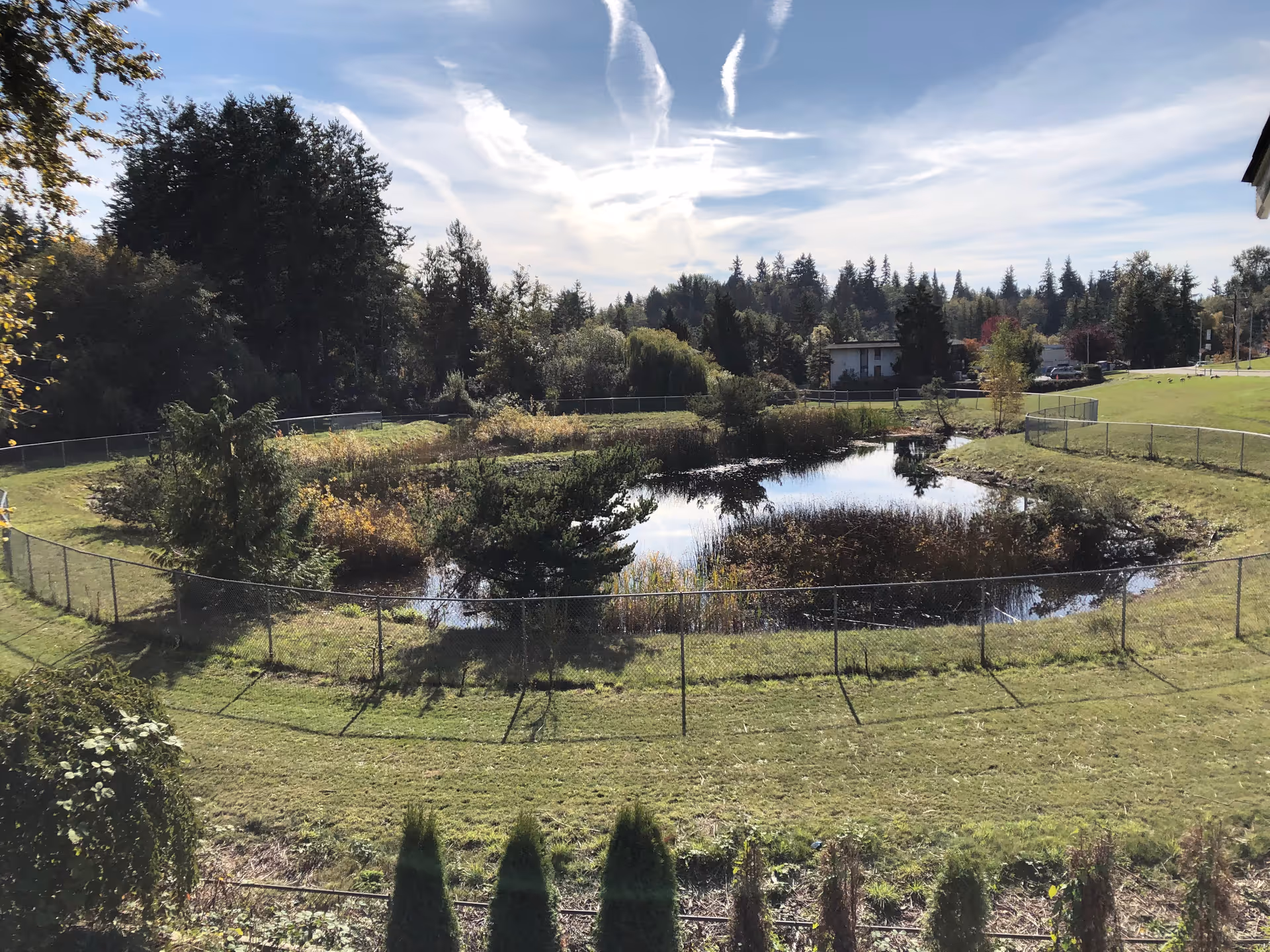 Outdoor view of a fenced pond surrounded by green grass and trees at Loving Care.