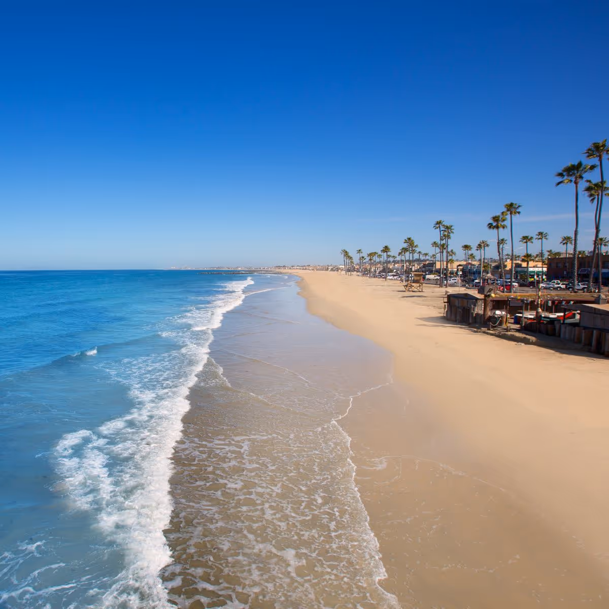 Sunny coastline with sandy beach, blue ocean, and palm-lined promenade.