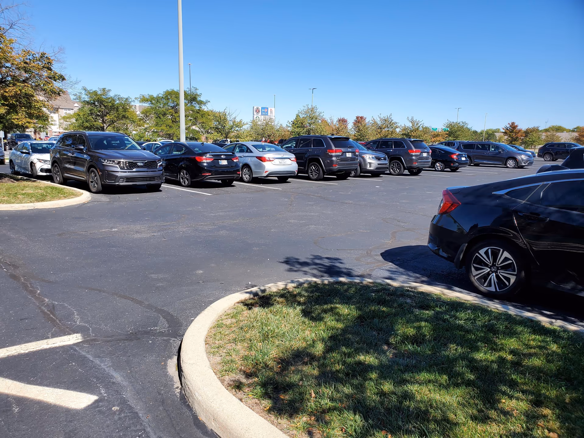Sunny outdoor parking lot filled with cars and curving concrete curbs.