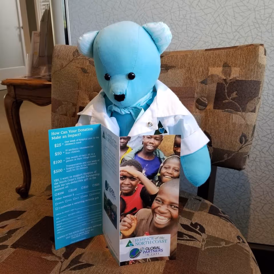 Blue plush bear in a white coat sits with brochures in a patterned living room chair.