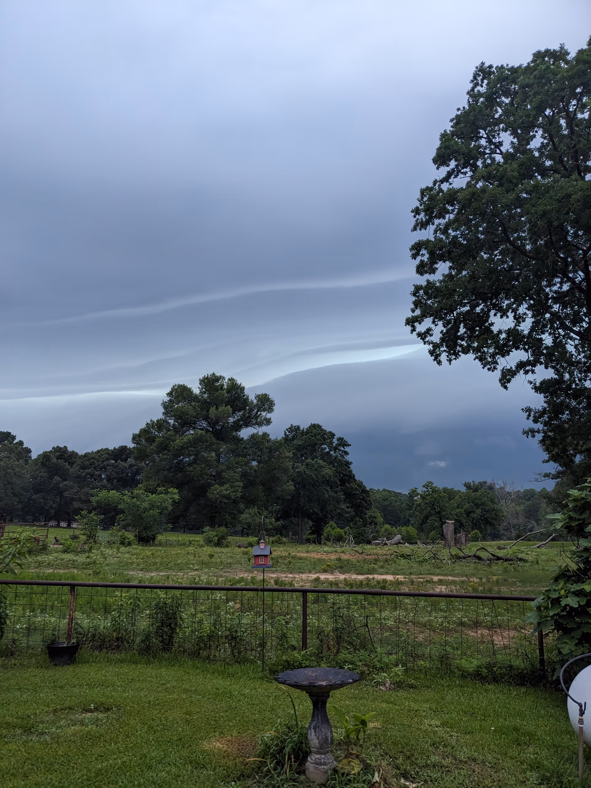 A grassy yard with a bird feeder, birdbath, fence, and stormy clouds overhead.