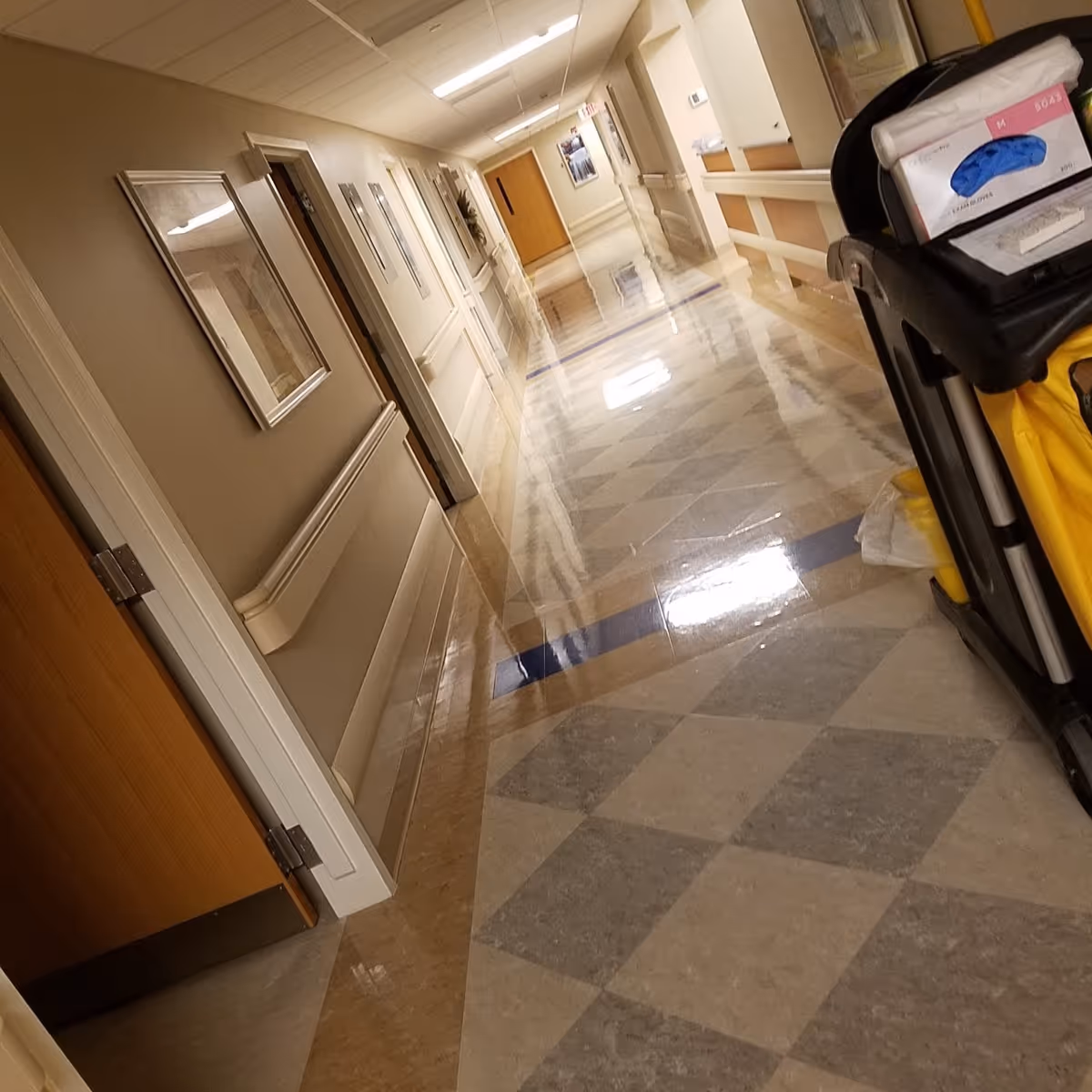 Interior hospital corridor with doors, framed pictures, and a cleaning cart.