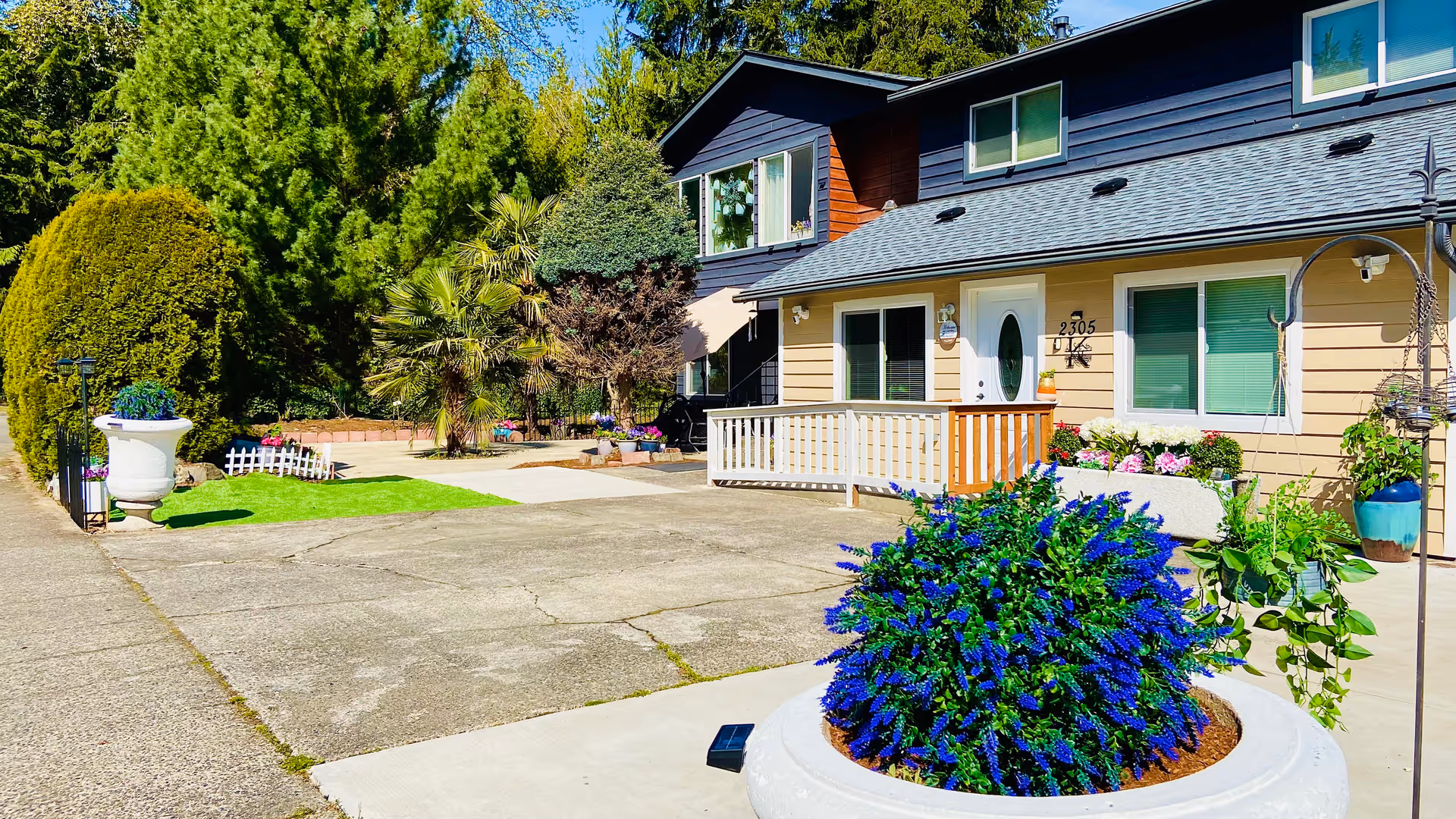 Exterior view of Blissful Living AFH with vibrant planters, a front ramp, and a paved driveway.