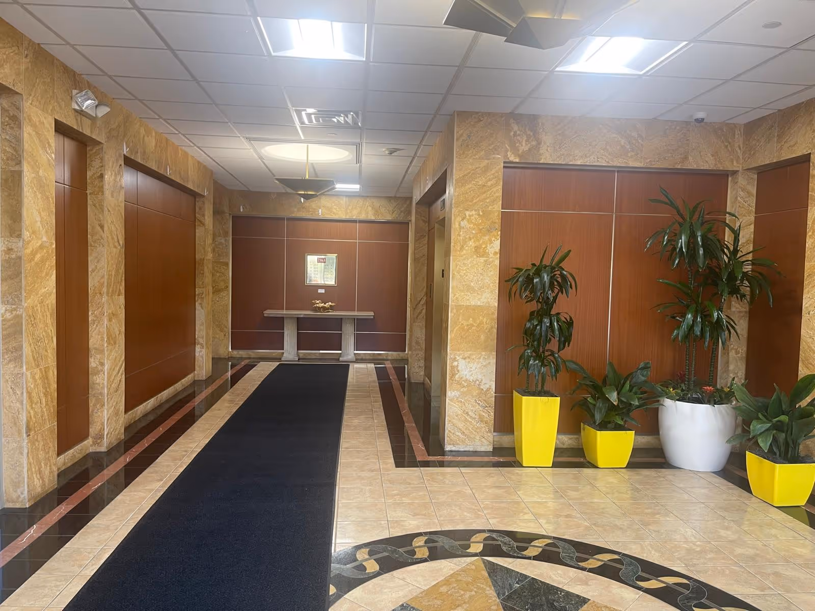 Interior lobby of Mintex Care Corporation with marble walls, elevators, plants, and a dark carpet runner.