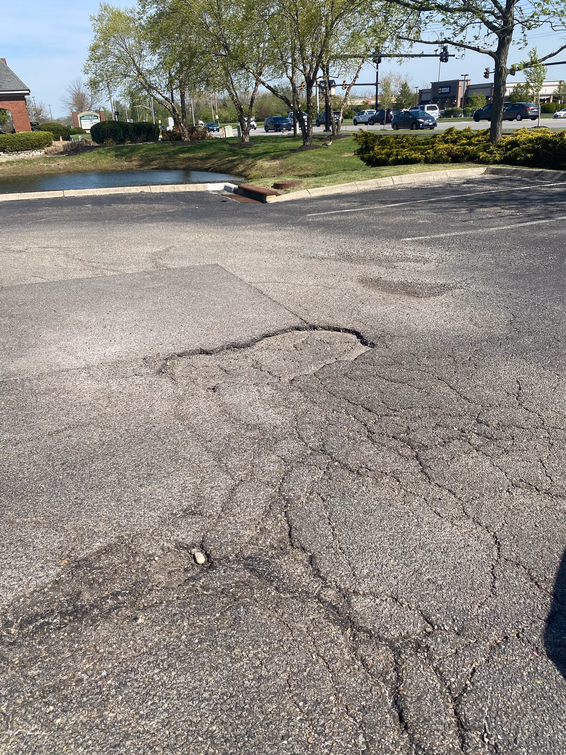 Cracked asphalt parking lot with trees, a pond, and distant storefronts.