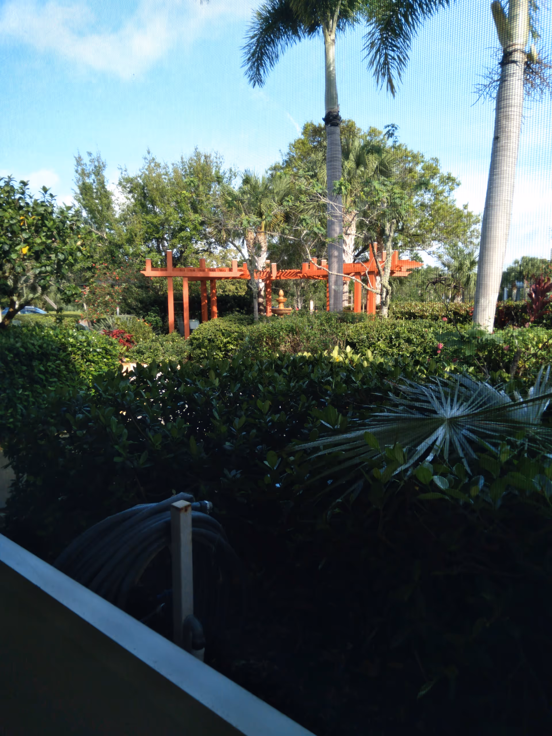 Outdoor garden with palm trees, hedges, and a red pergola in a courtyard.