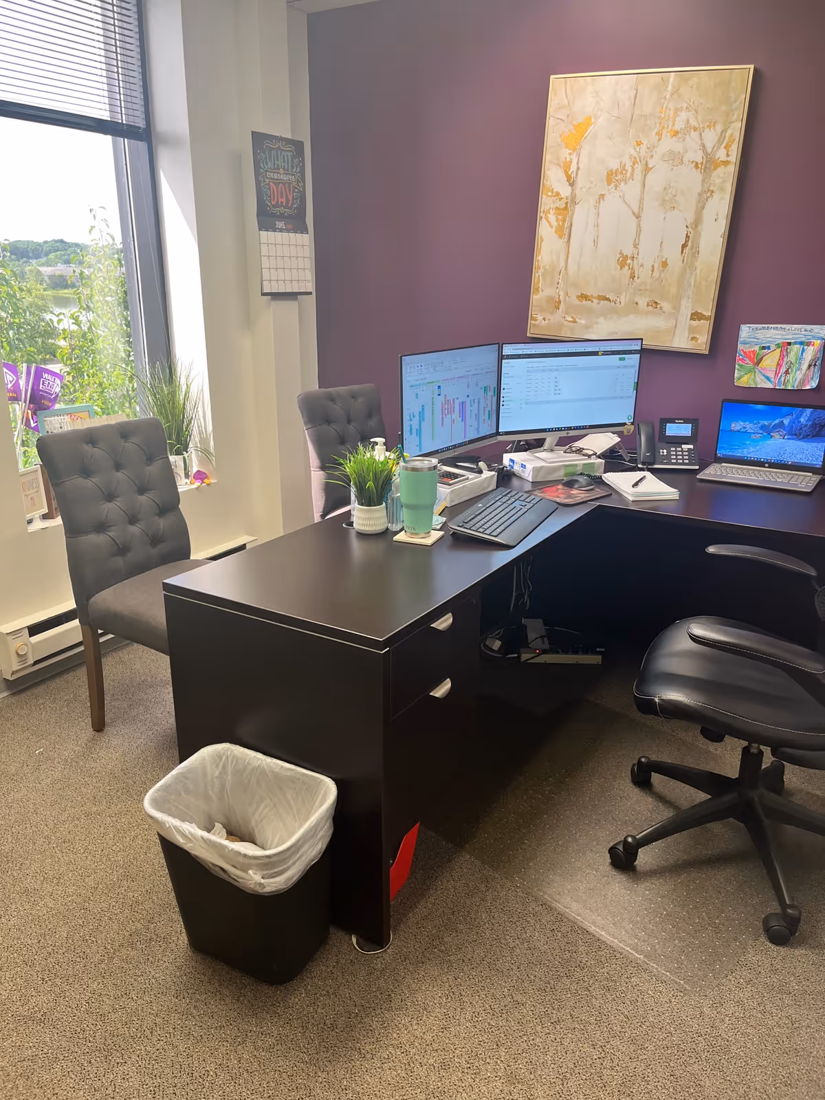 Office workspace with two computer monitors, purple wall, plants, and a trash bin.