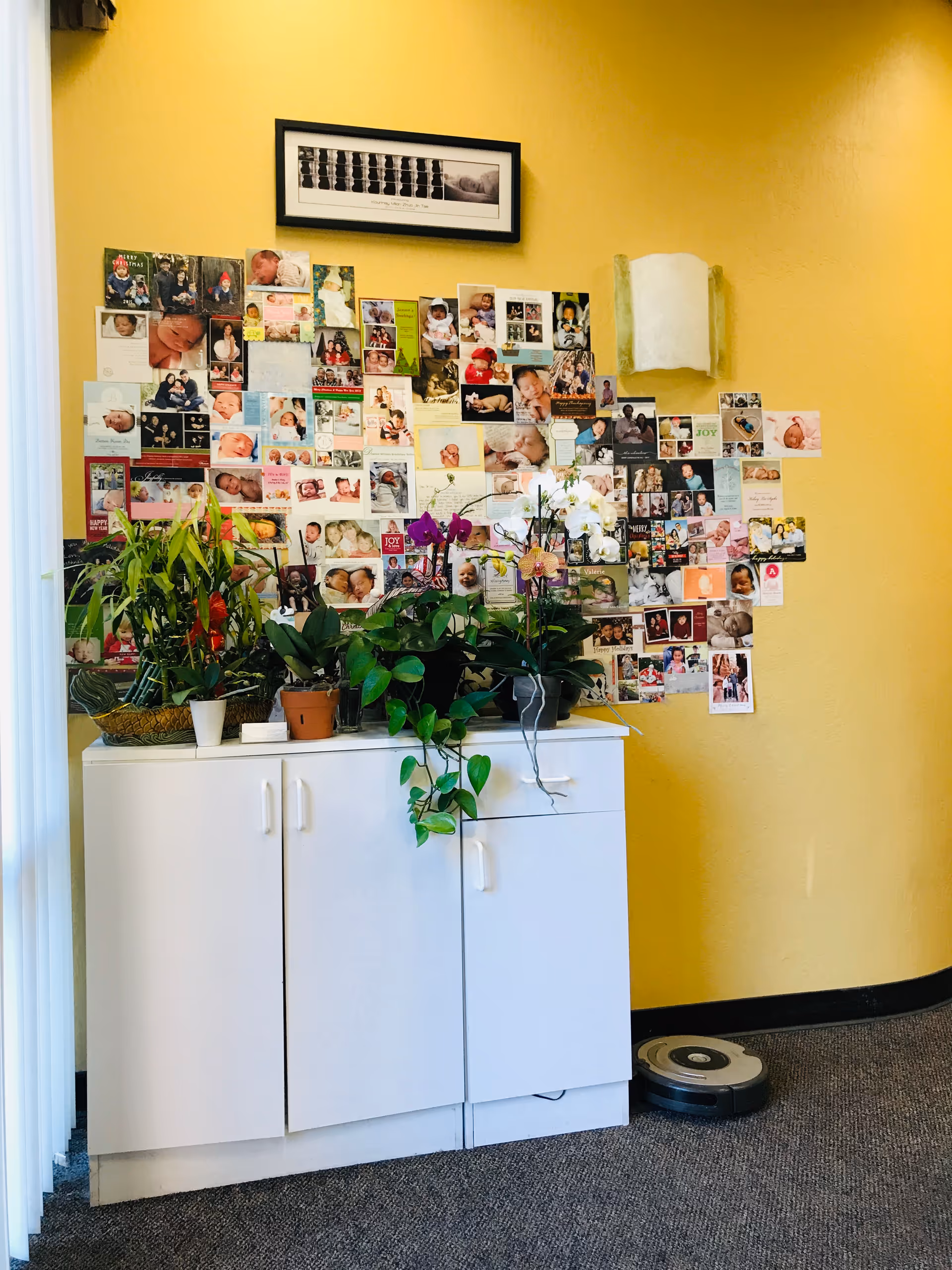 Yellow-walled interior with a photo collage above a white cabinet, plants, and a robot vacuum.