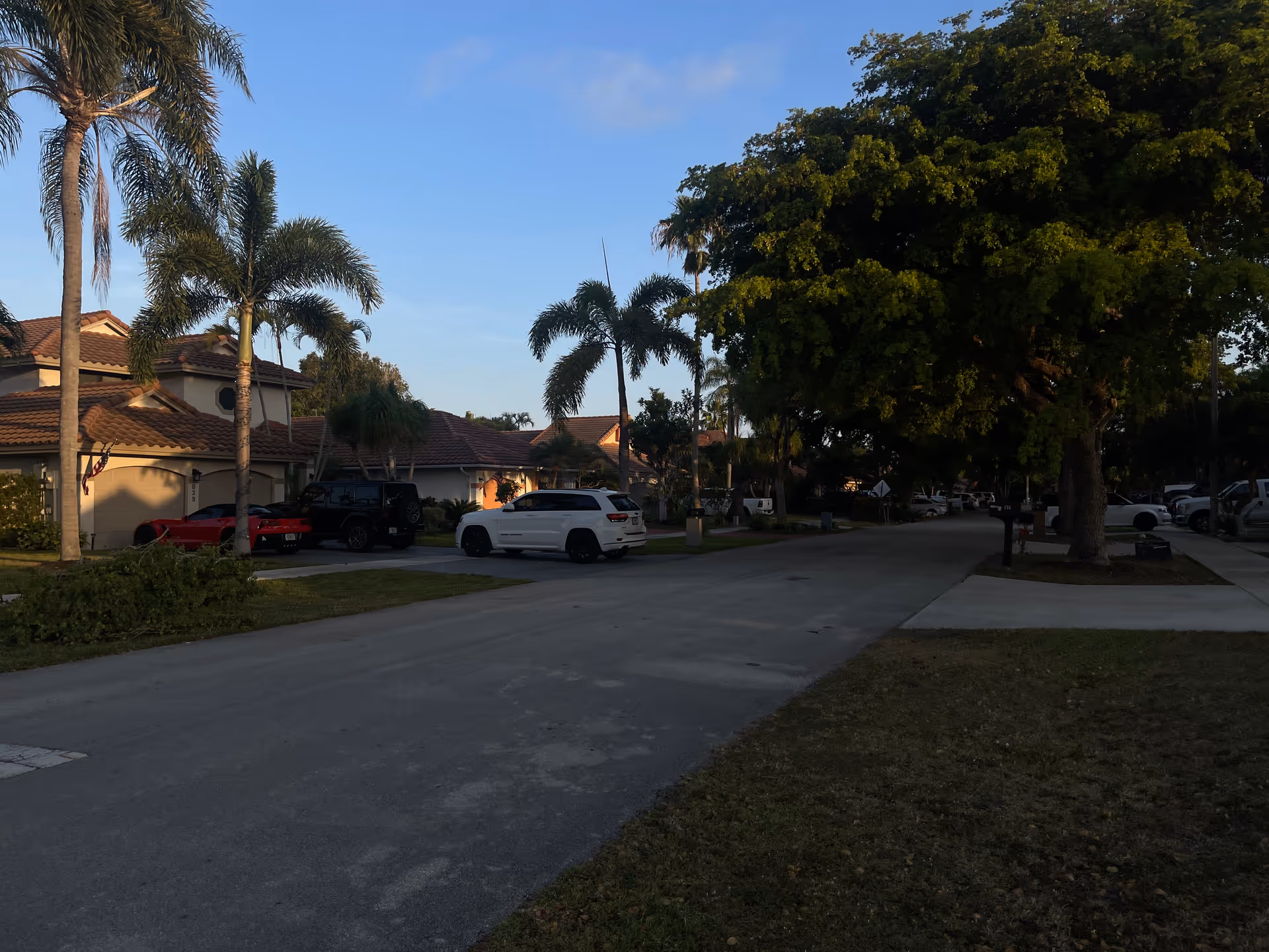 Quiet residential street with palm trees and parked cars in front of single-story homes.
