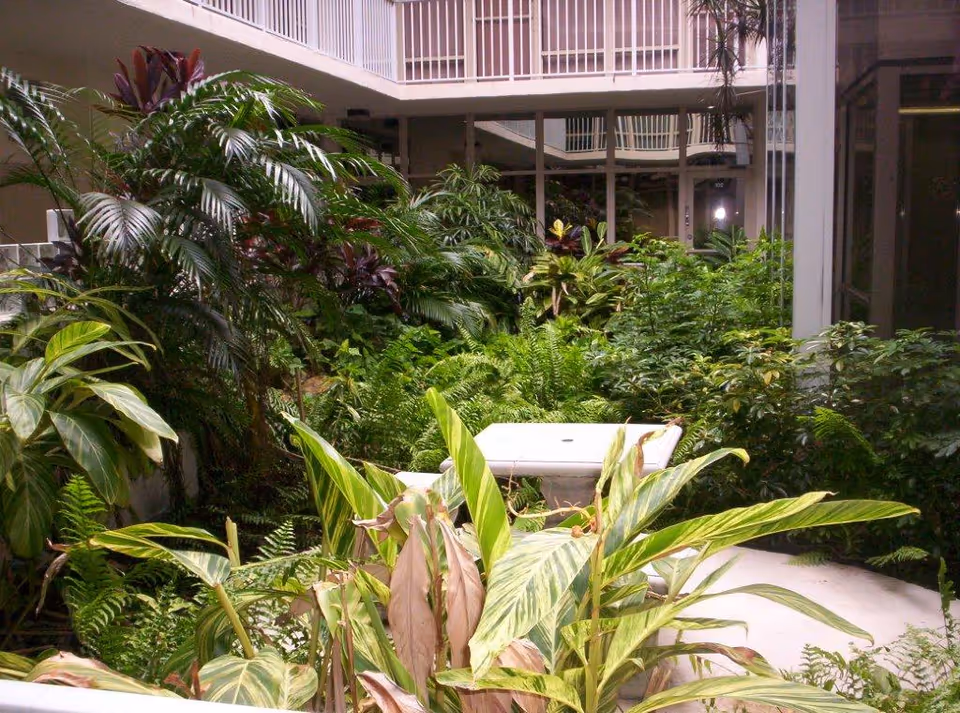 Indoor courtyard garden with tropical plants and white seating, surrounded by building balconies.