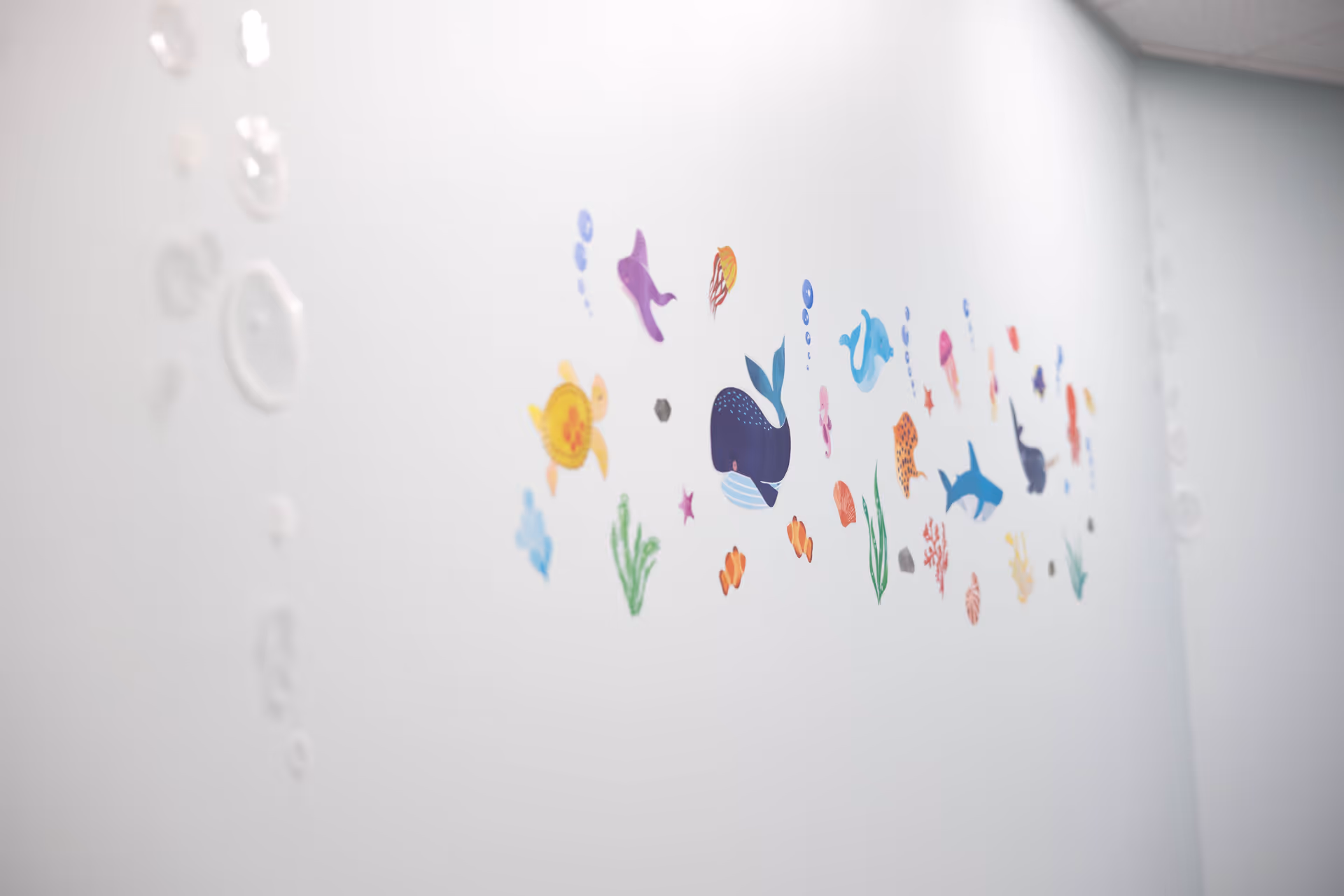 White interior wall decorated with colorful underwater sea life decals.