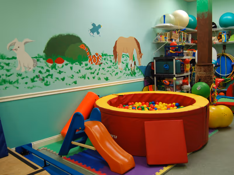 Colorful indoor pediatric playroom with a ball pit, slide, and animal mural.
