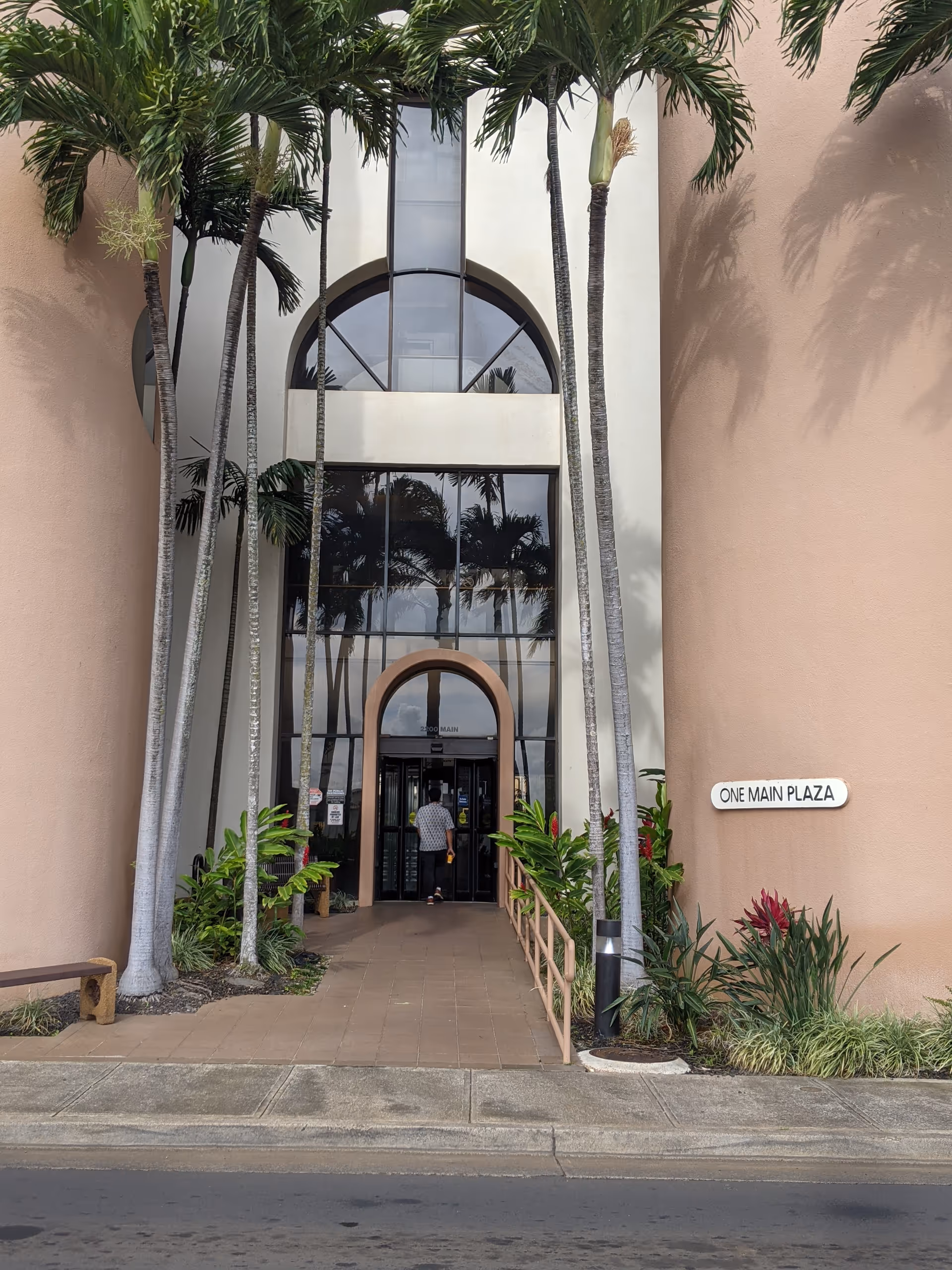 Modern building entrance framed by tall palm trees and glass doors