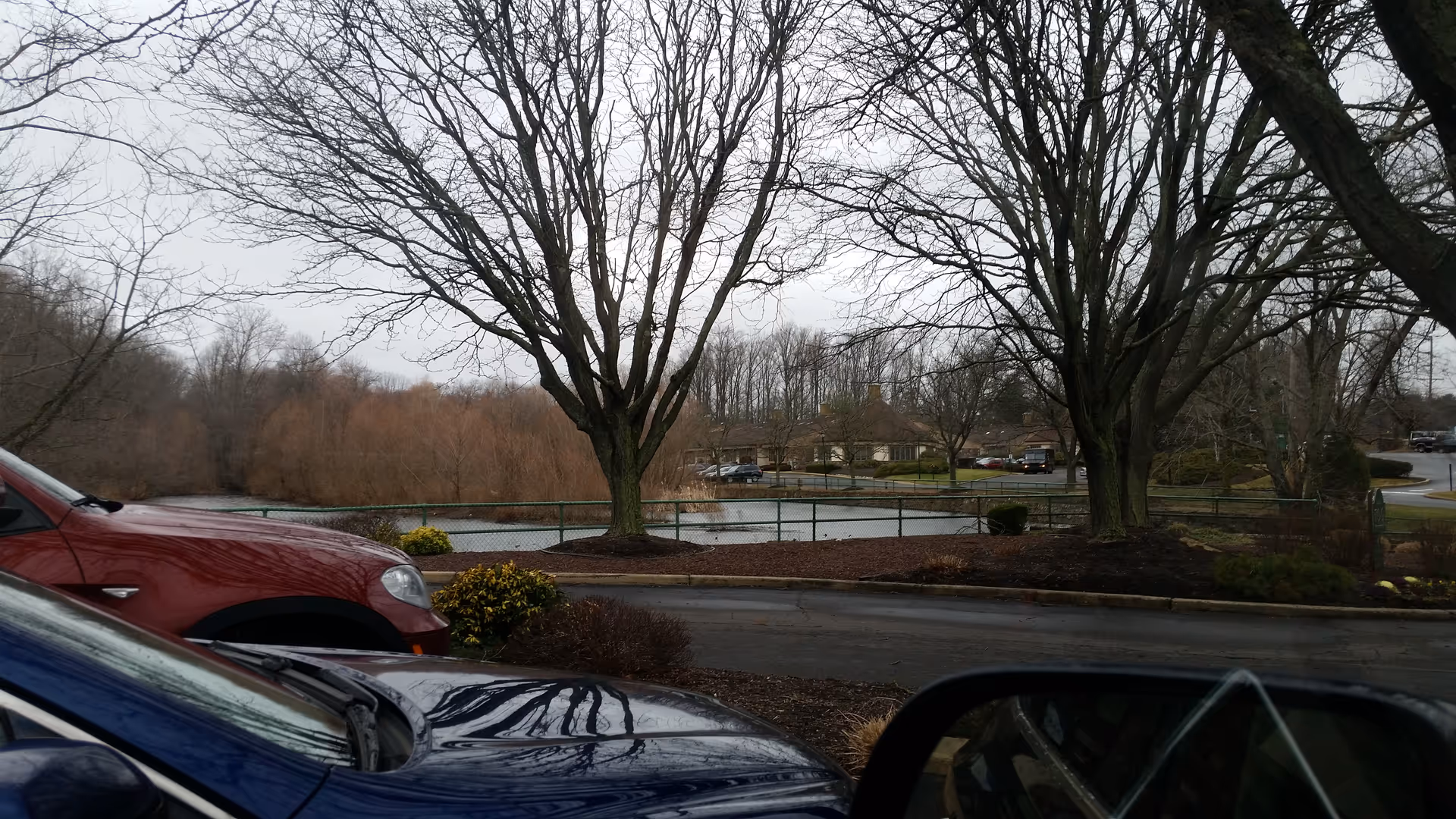 Parking lot with cars beside a lake and bare, leafless trees.