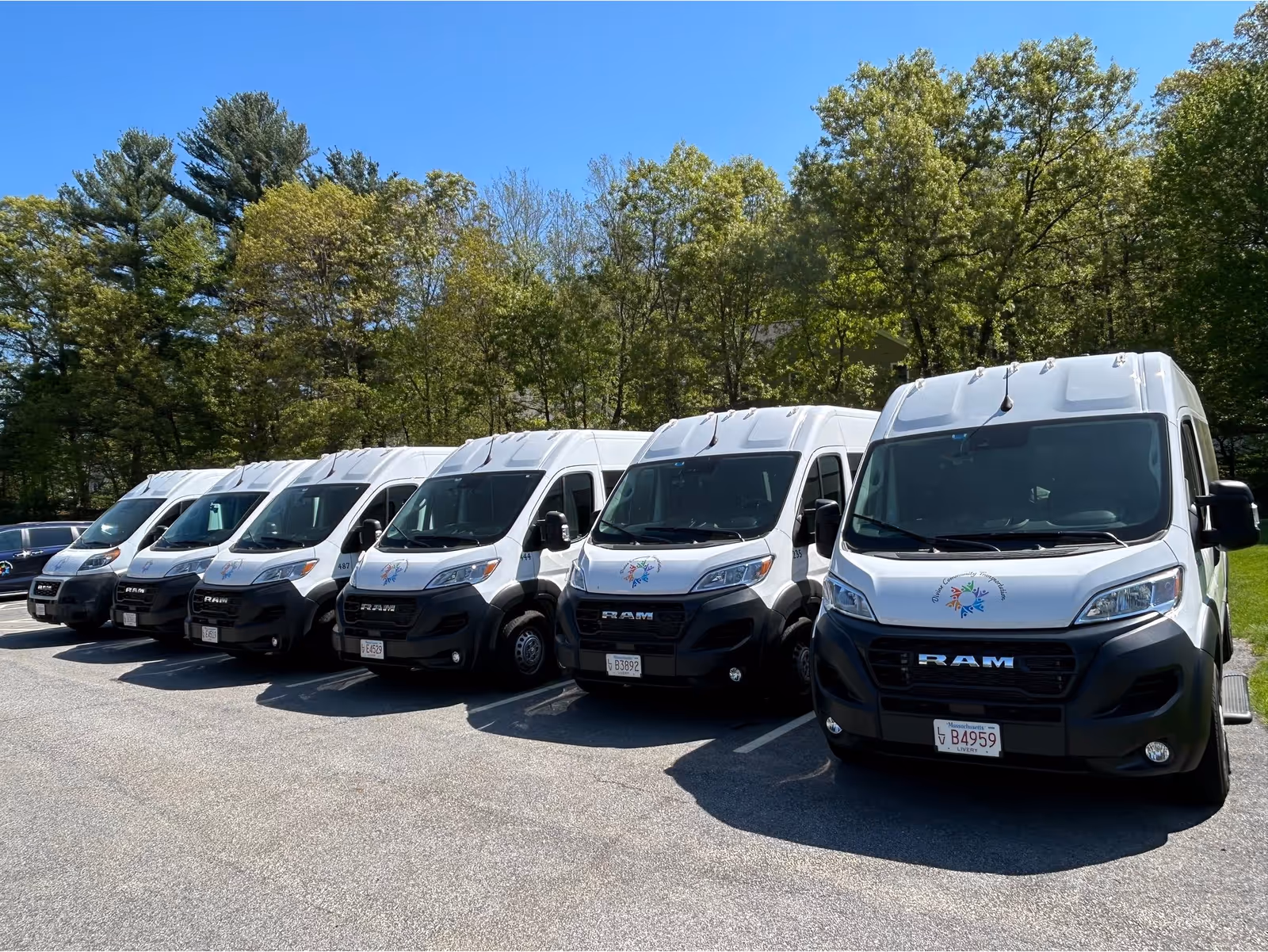 Line of white transport vans with logos parked in a lot beside trees.