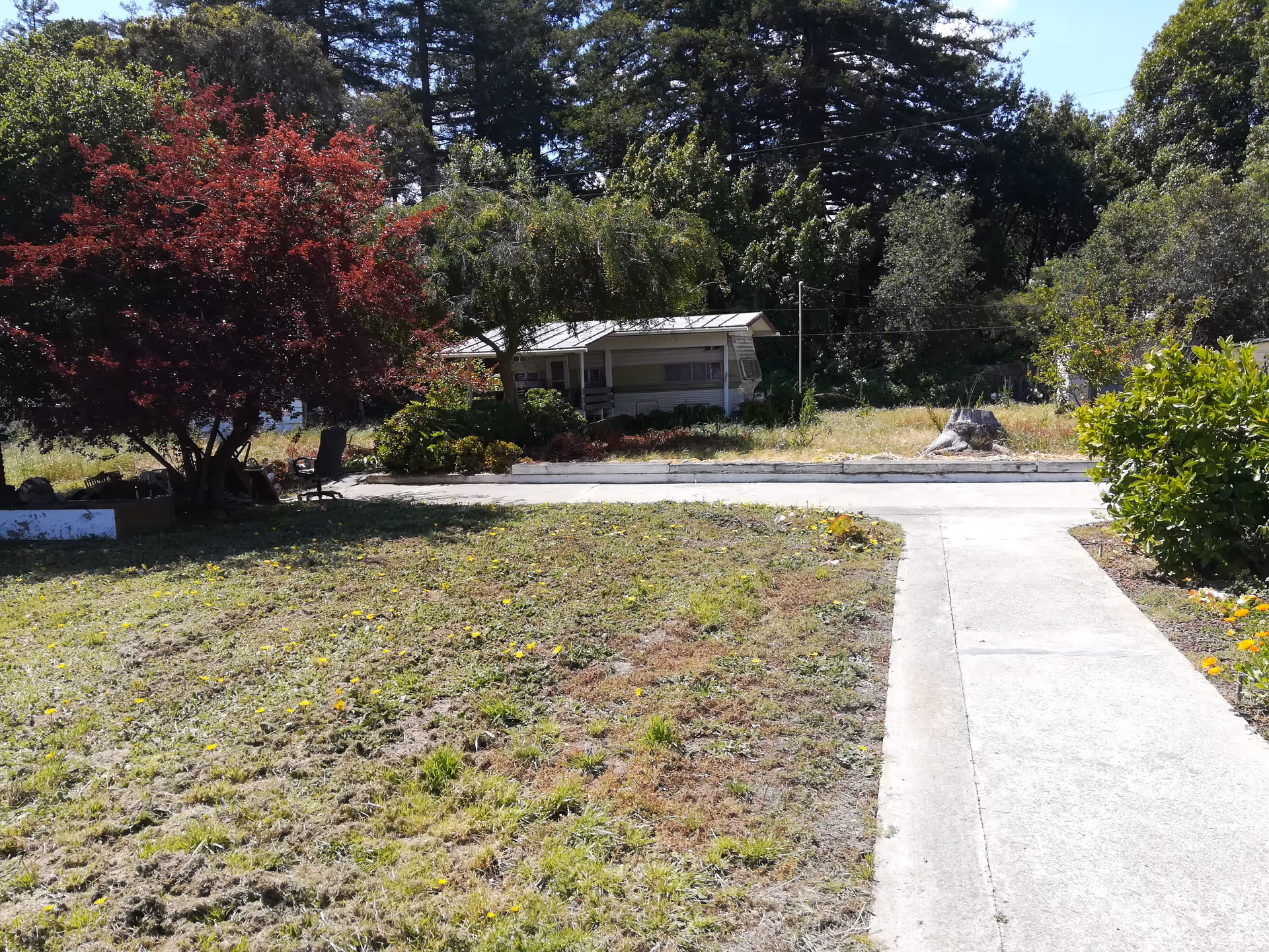 Soquel Leisure Villa exterior shows a driveway, walkway, small building, and surrounding trees.